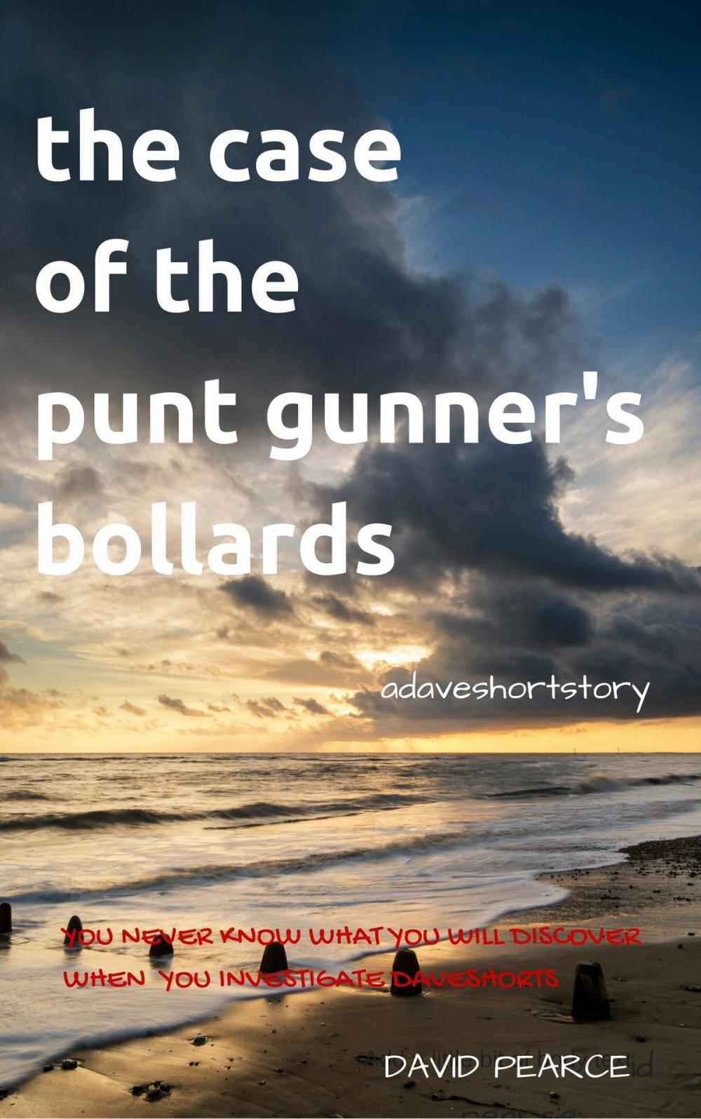 Big bigCover of The Case of the Punt Gunner's Bollards