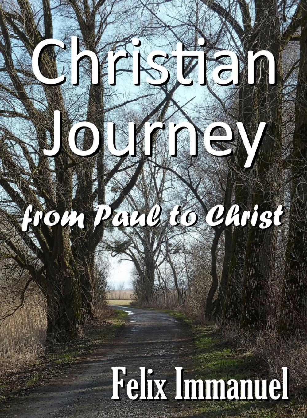 Big bigCover of Christian Journey