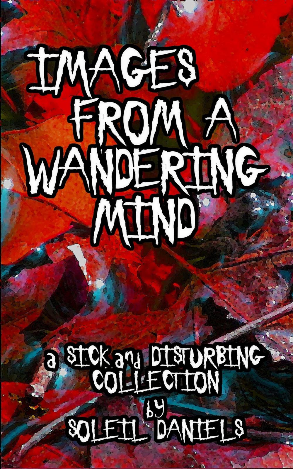 Big bigCover of Images from a Wandering Mind