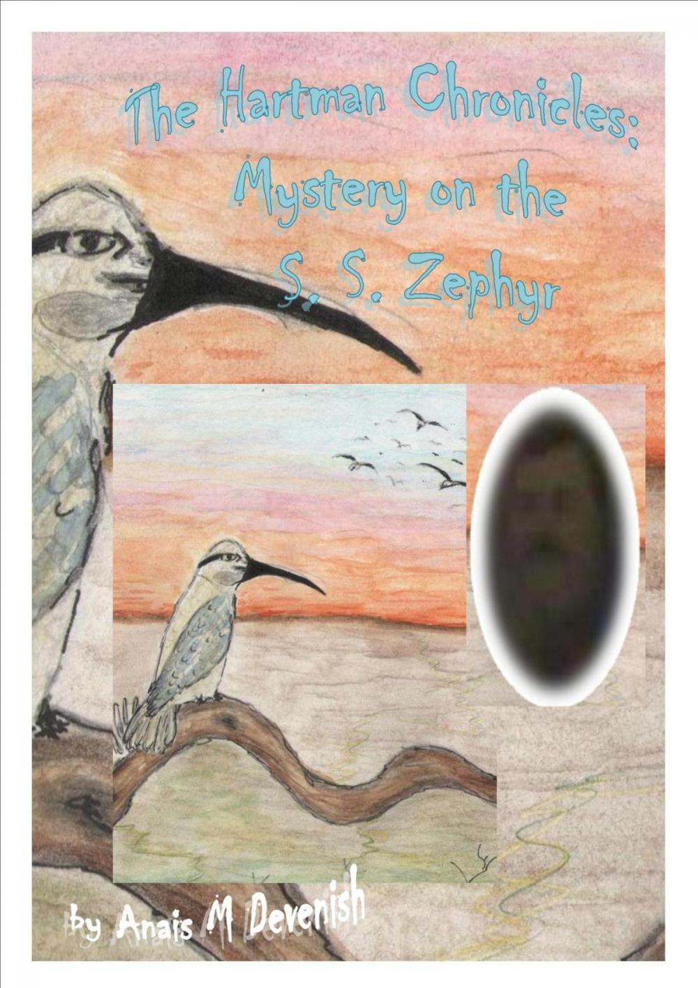 Big bigCover of The Hartman Chronicles: Mystery on the S. S. Zephyr