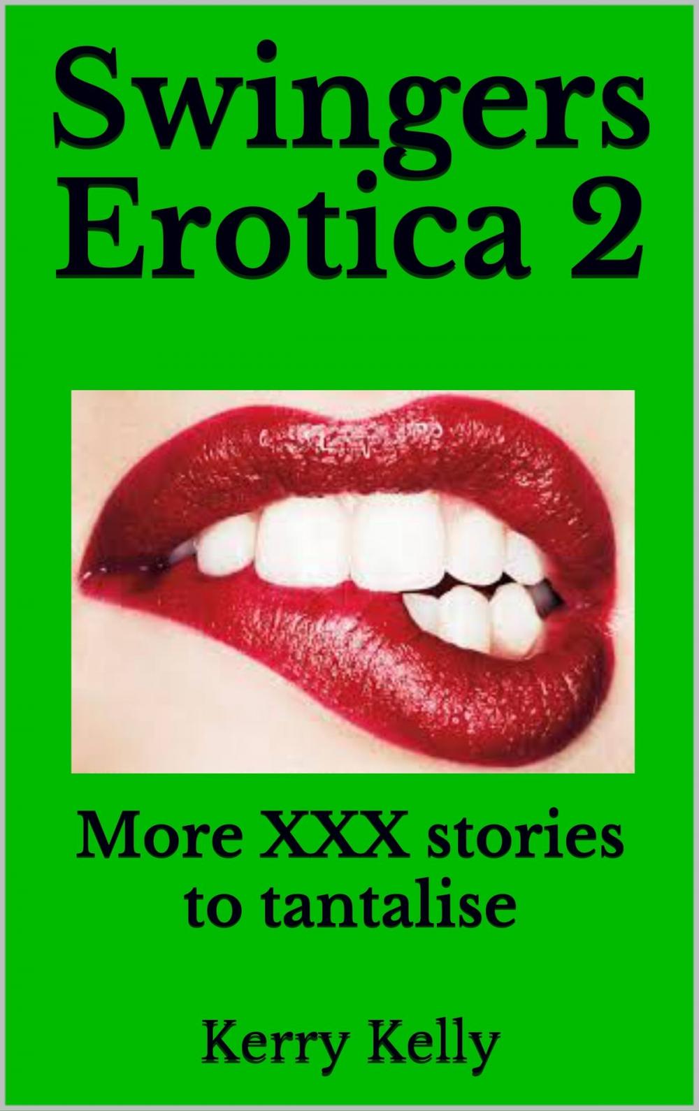 Big bigCover of Swingers Erotica 2: More XXX Stories to Tantalise