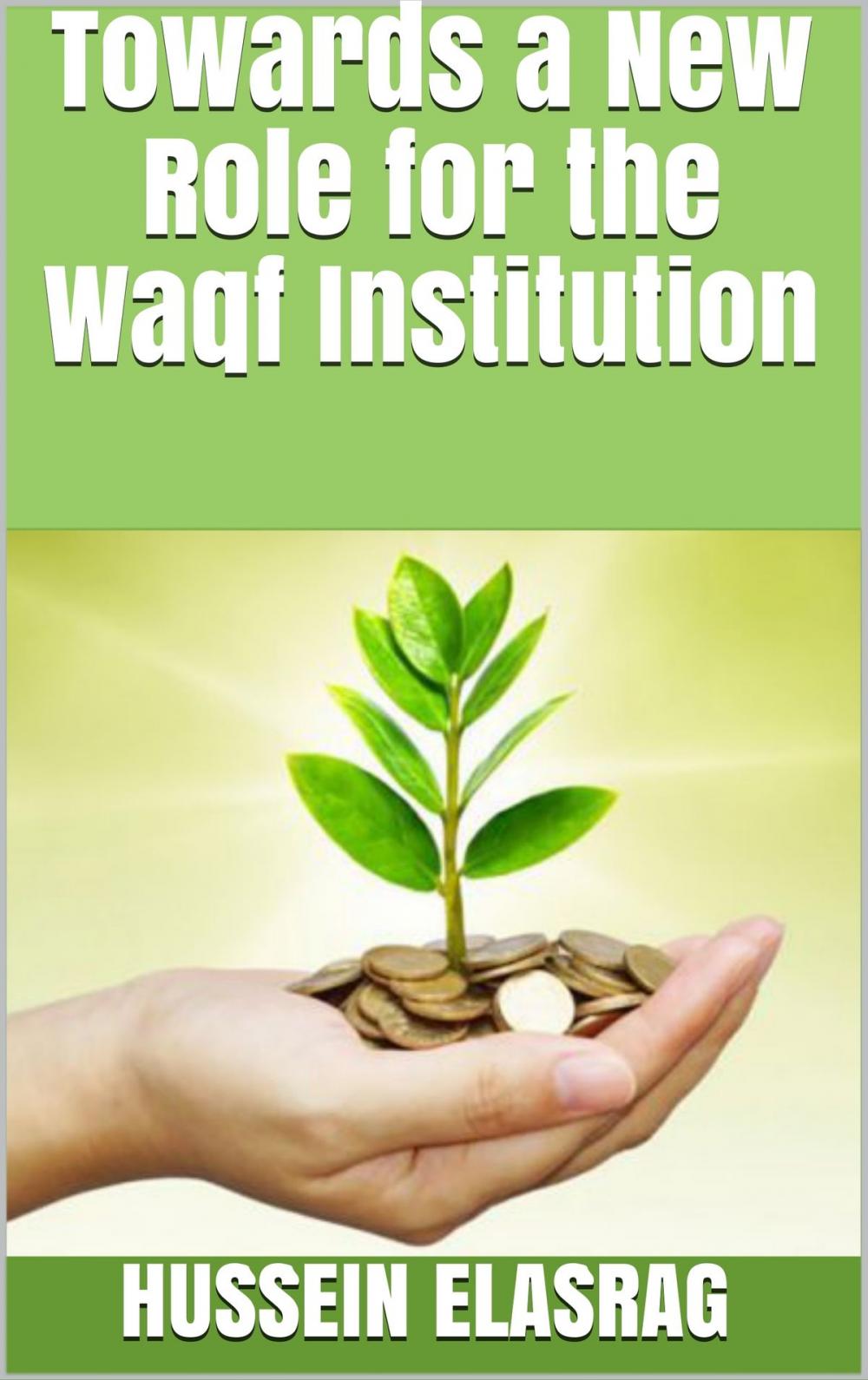 Big bigCover of Towards a New Role for the Waqf Institution