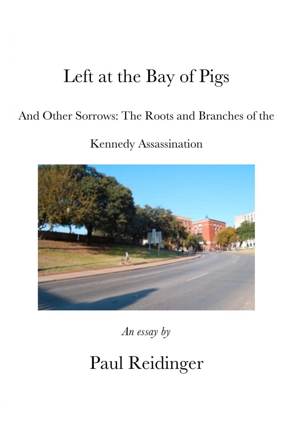 Big bigCover of Left at the Bay of Pigs and Other Sorrows: The Roots and Branches of the Kennedy Assassination