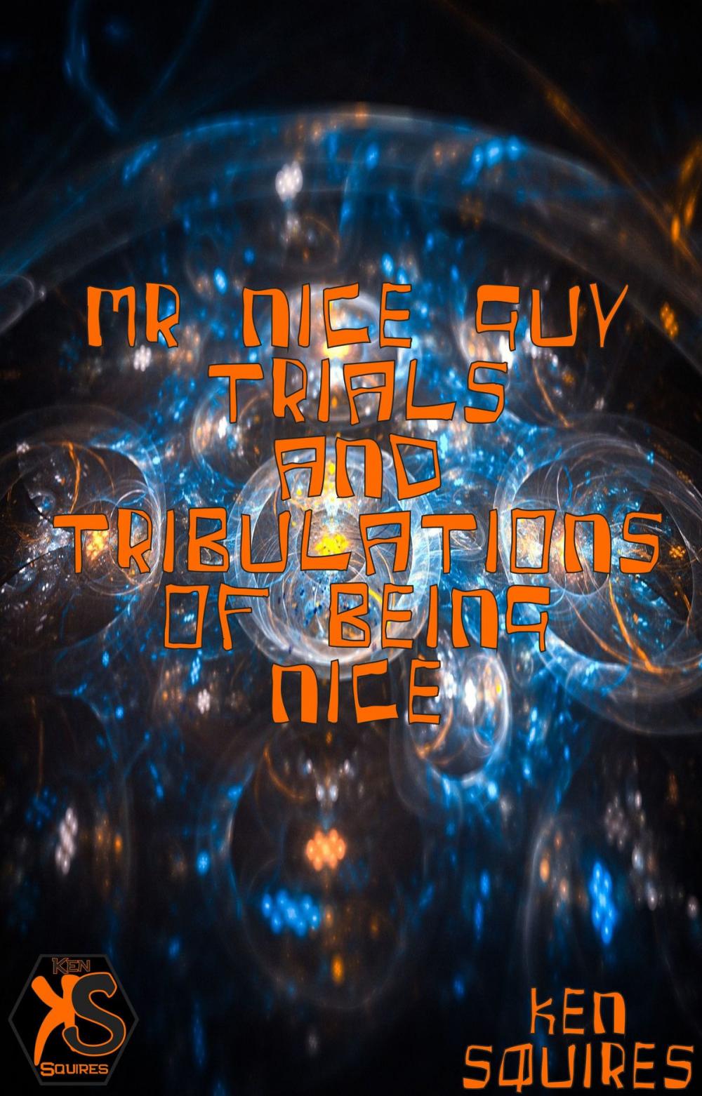 Big bigCover of Mr Nice Guy: Trials and Tribulations Of Being Nice