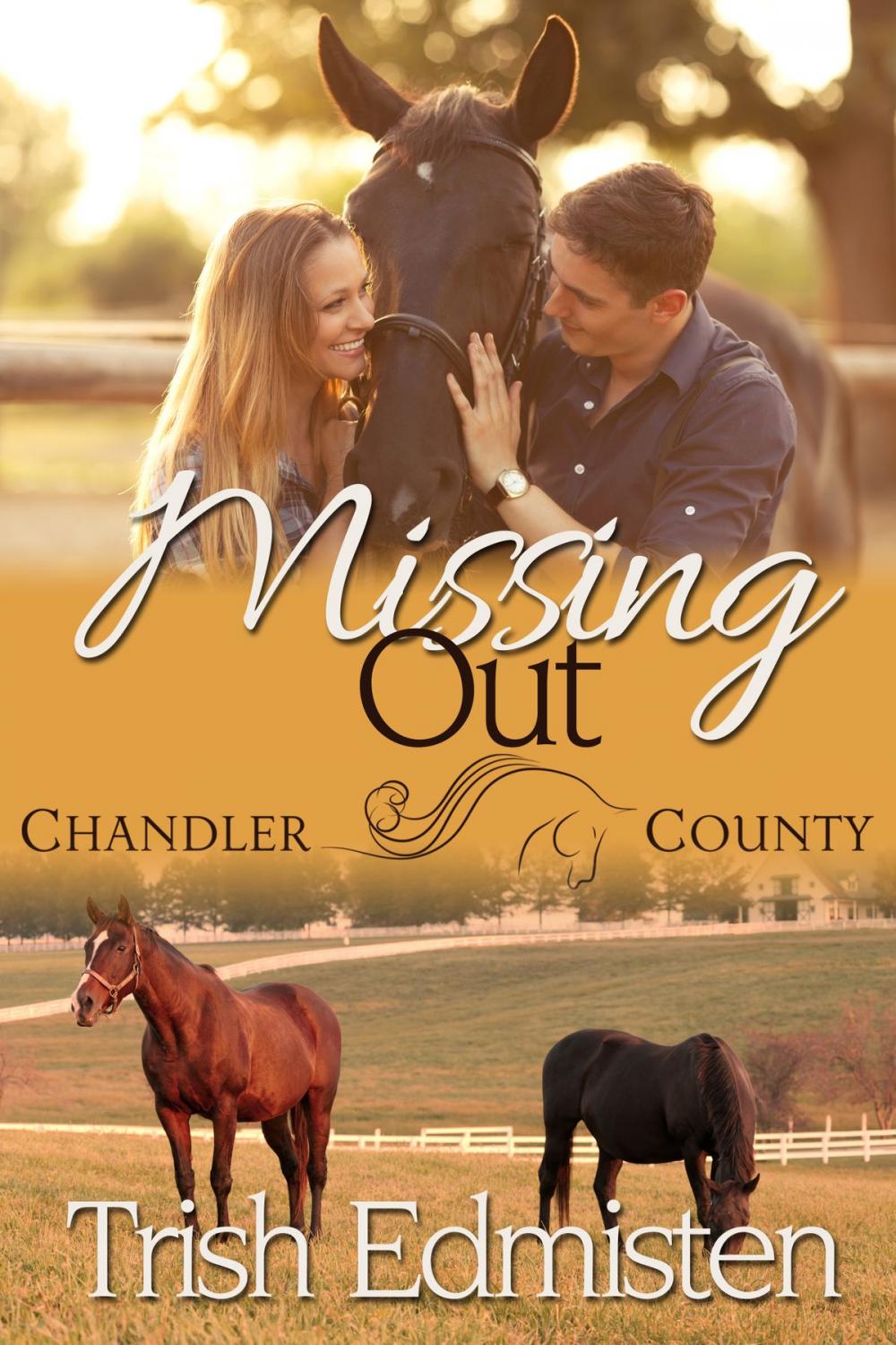 Big bigCover of Missing Out: A Chandler County Novel