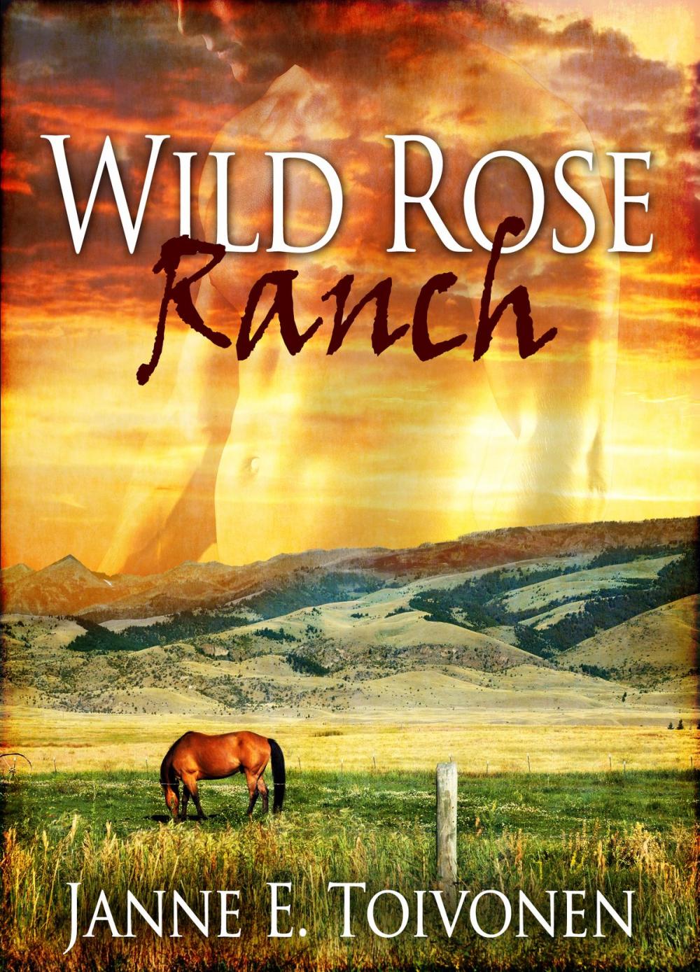 Big bigCover of Wild Rose Ranch