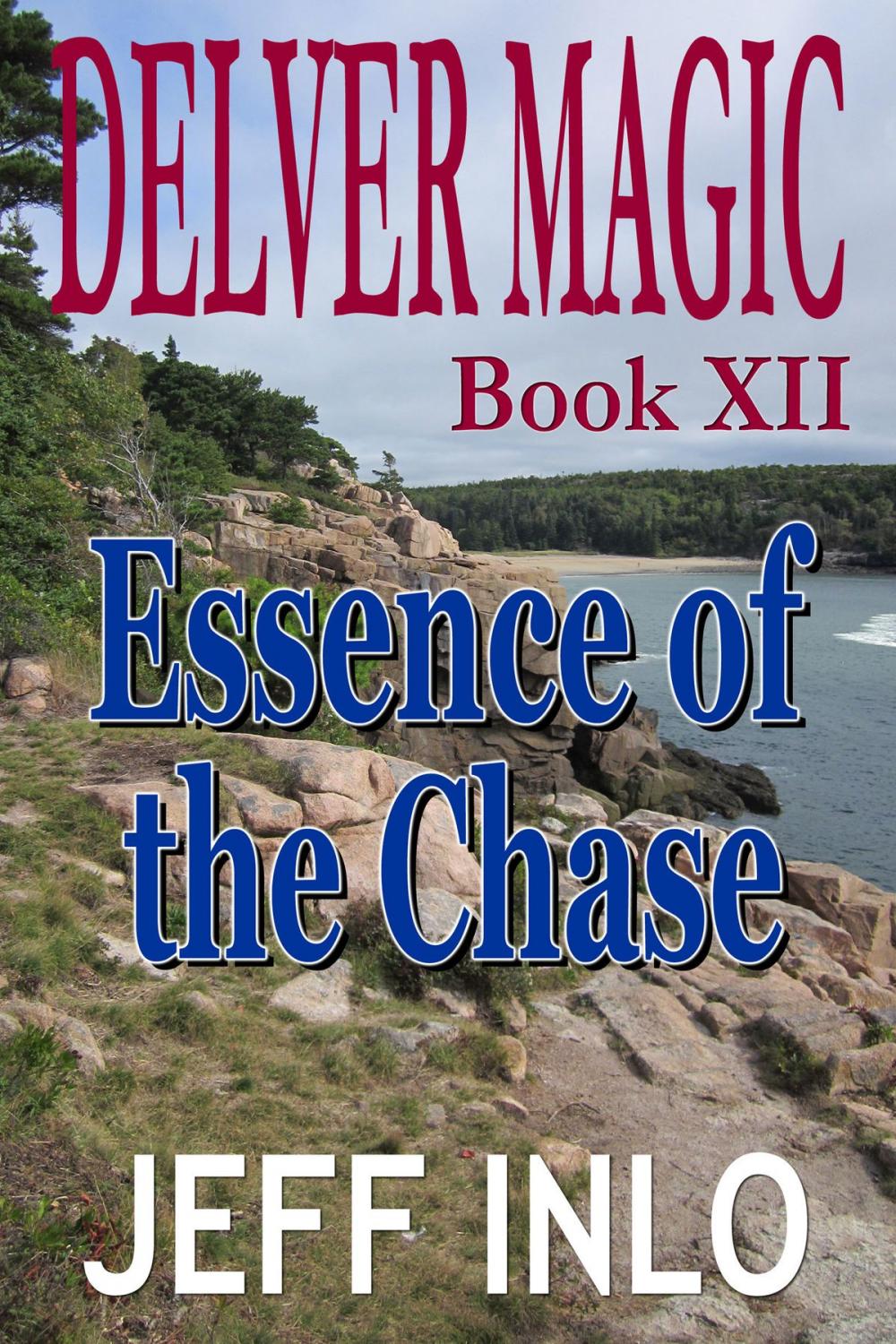 Big bigCover of Delver Magic Book XII: Essence of the Chase