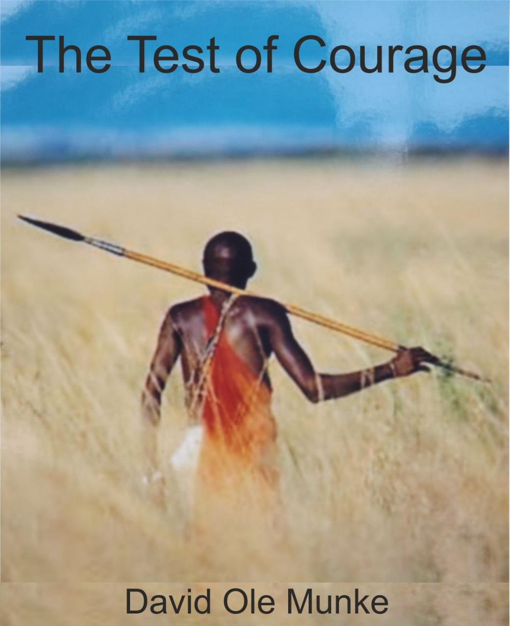 Big bigCover of The Test Of Courage