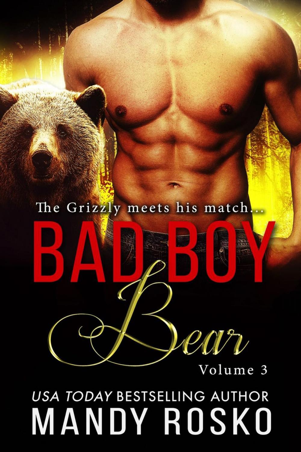 Big bigCover of Bad Boy Bear Volume 3