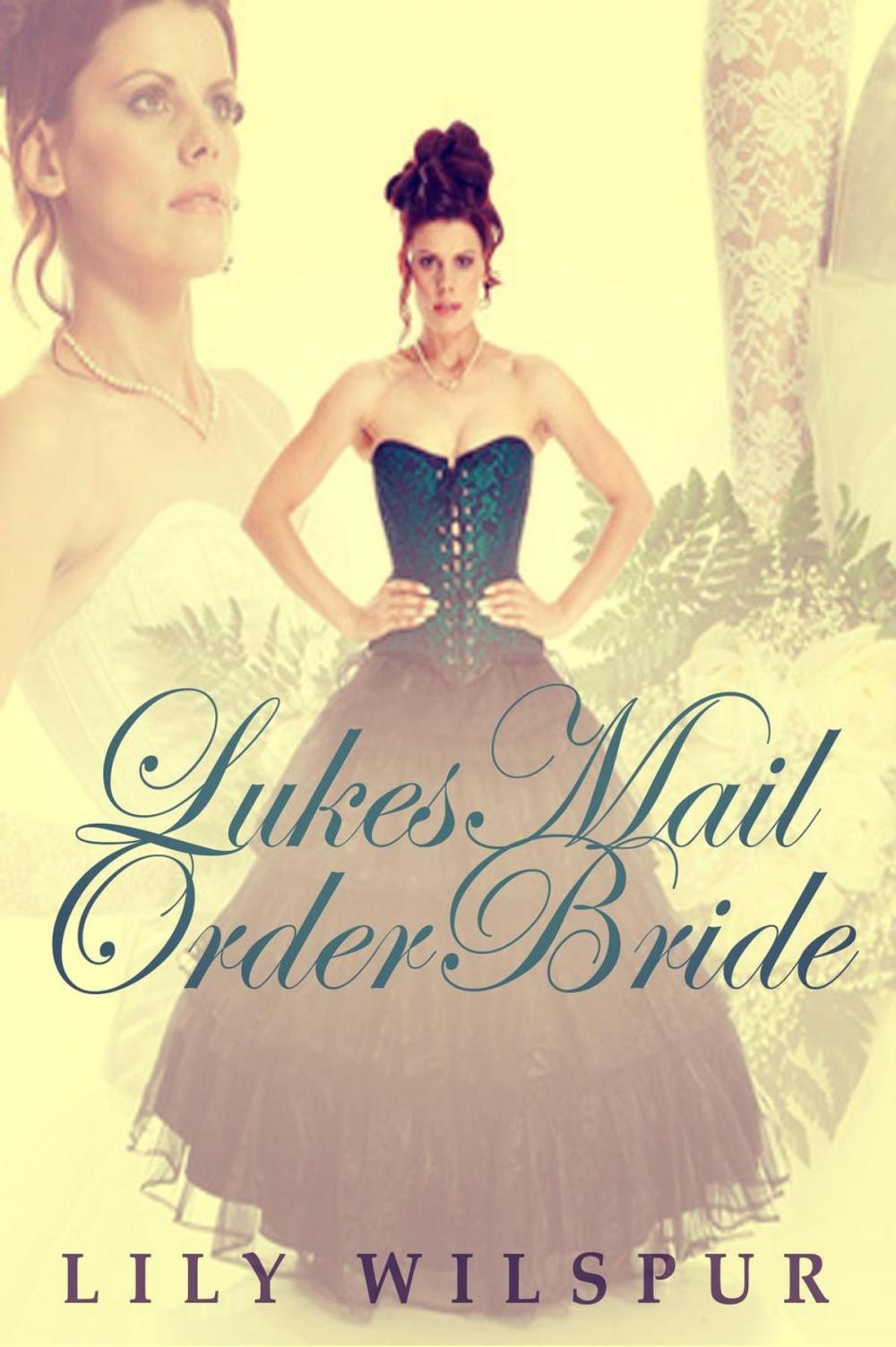 Big bigCover of Luke’s Mail Order Bride