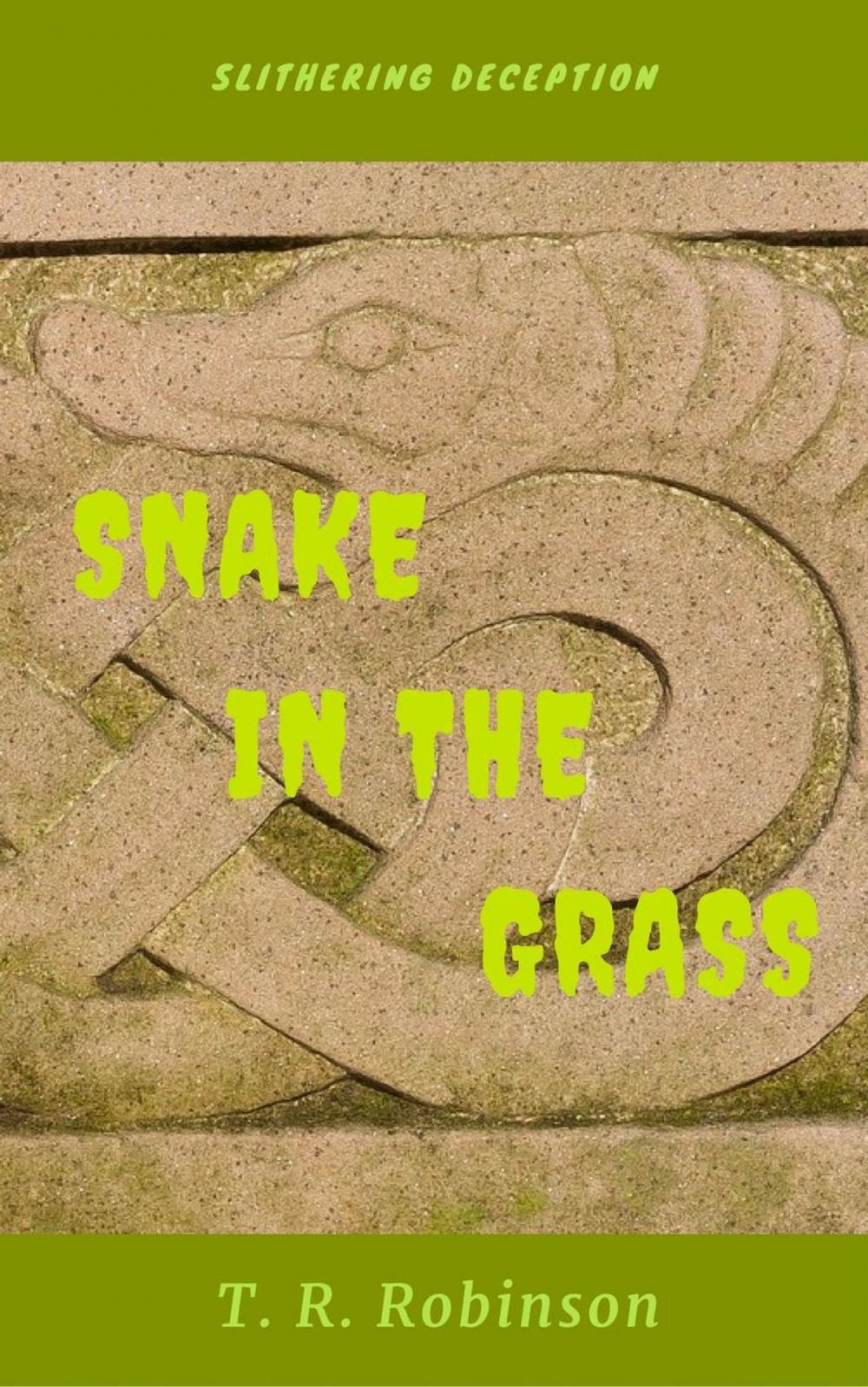 Big bigCover of Snake in the Grass