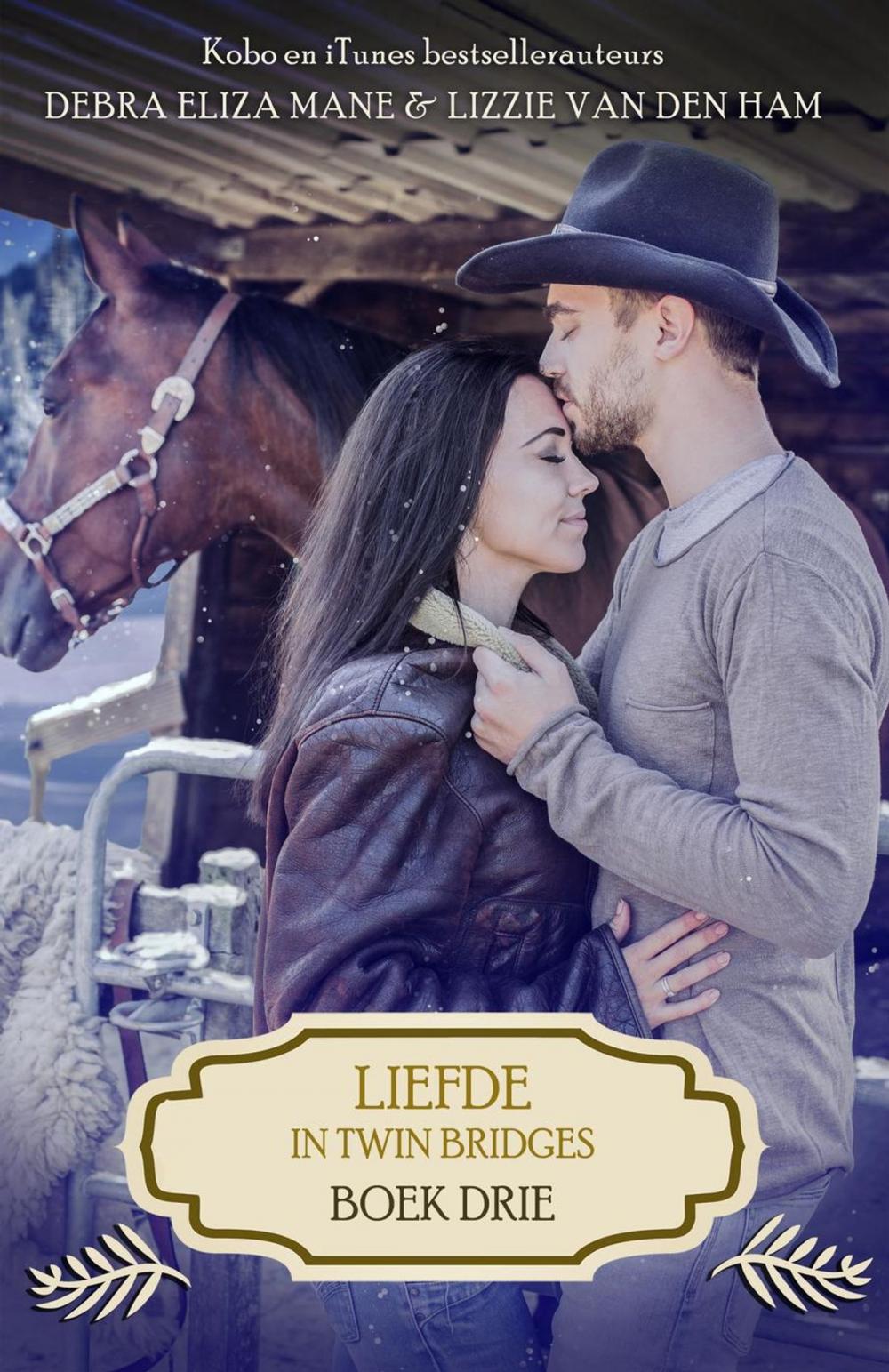 Big bigCover of Liefde in Twin Bridges: boek drie