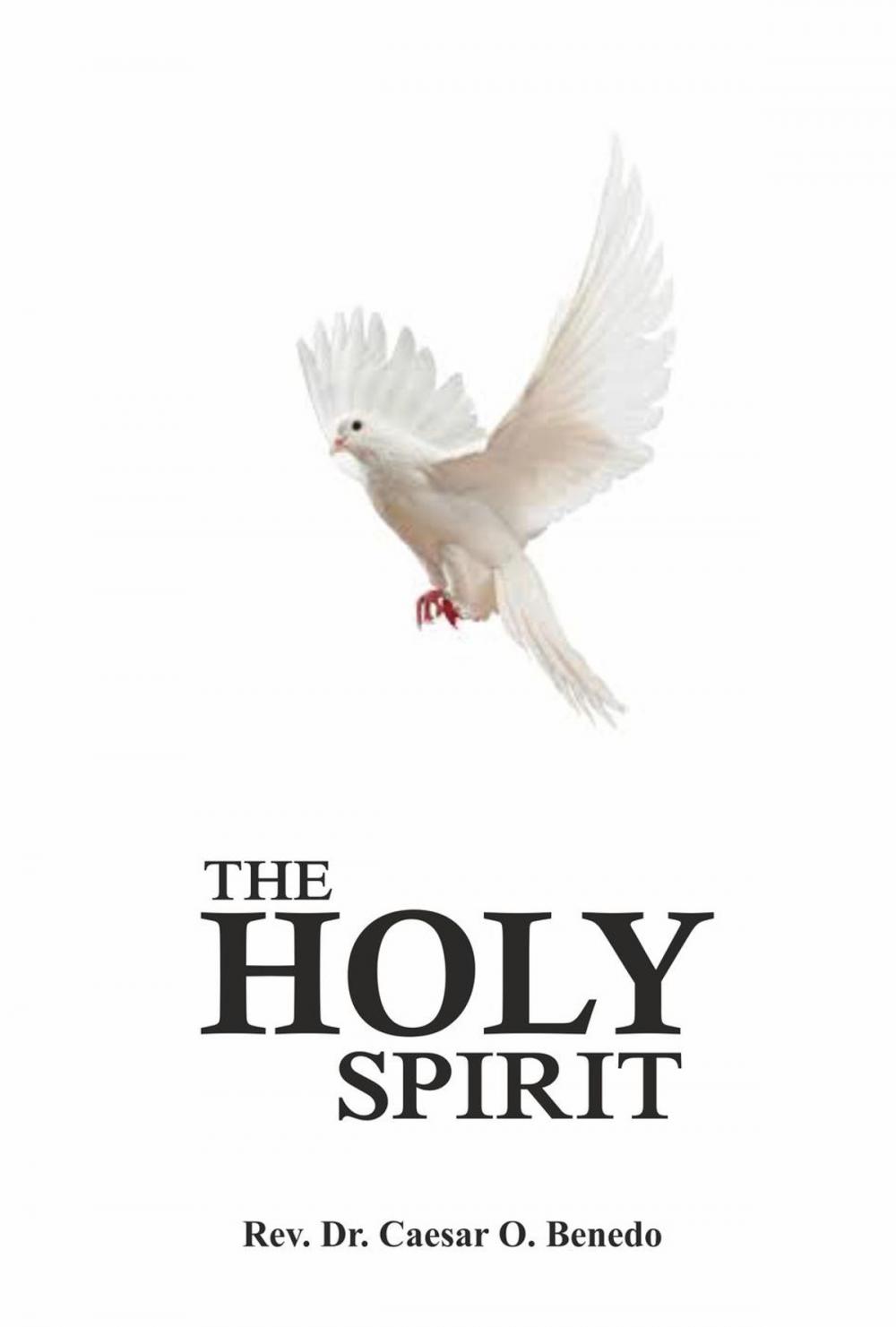 Big bigCover of The Holy Spirit