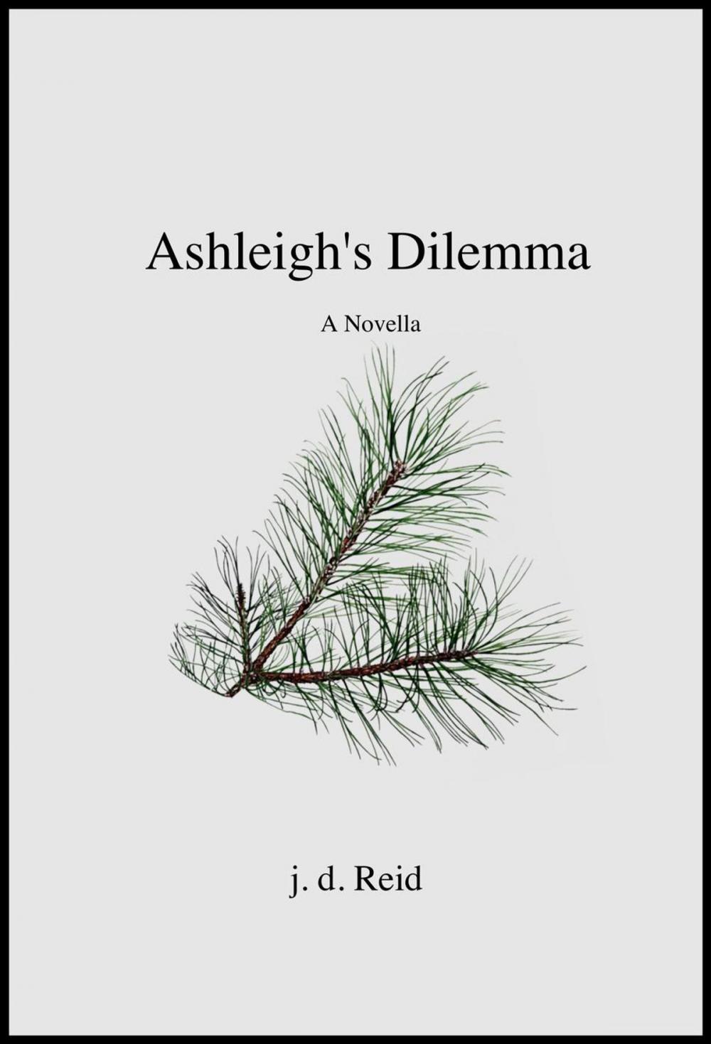 Big bigCover of Ashleigh's Dilemma