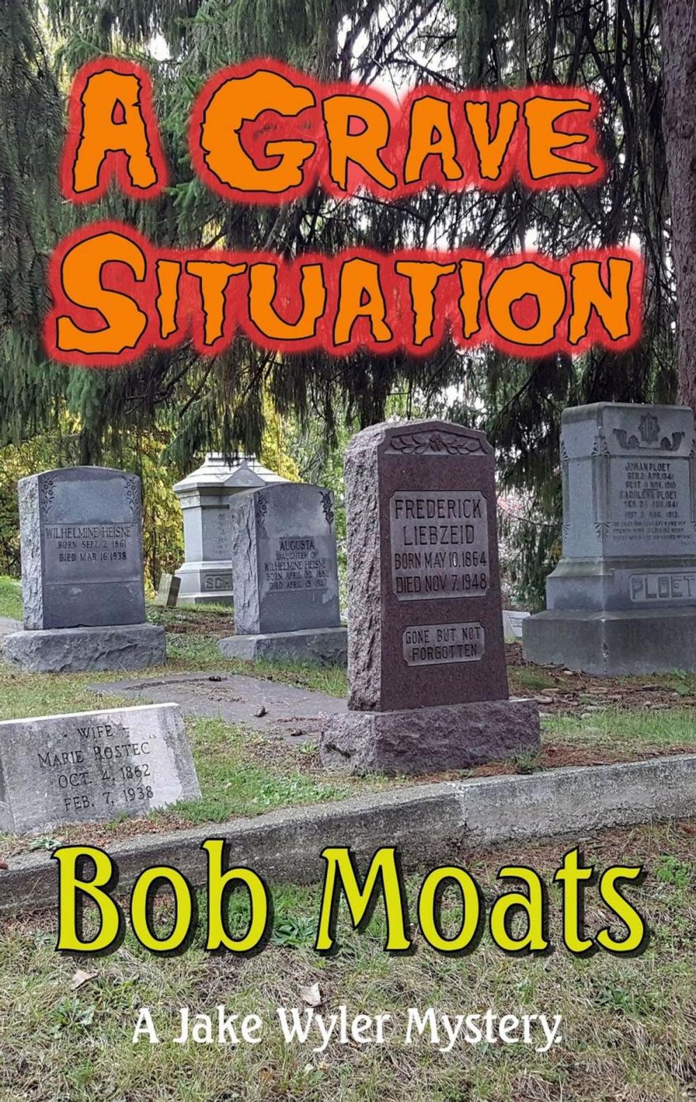 Big bigCover of A Grave Situation