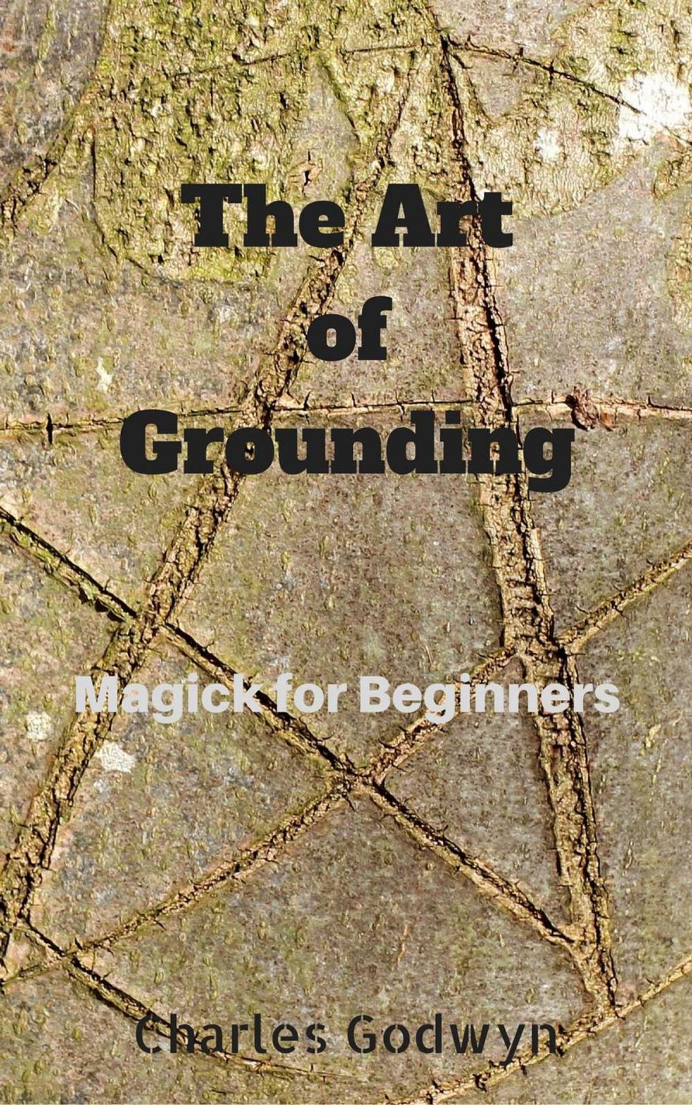 Big bigCover of The Art of Grounding