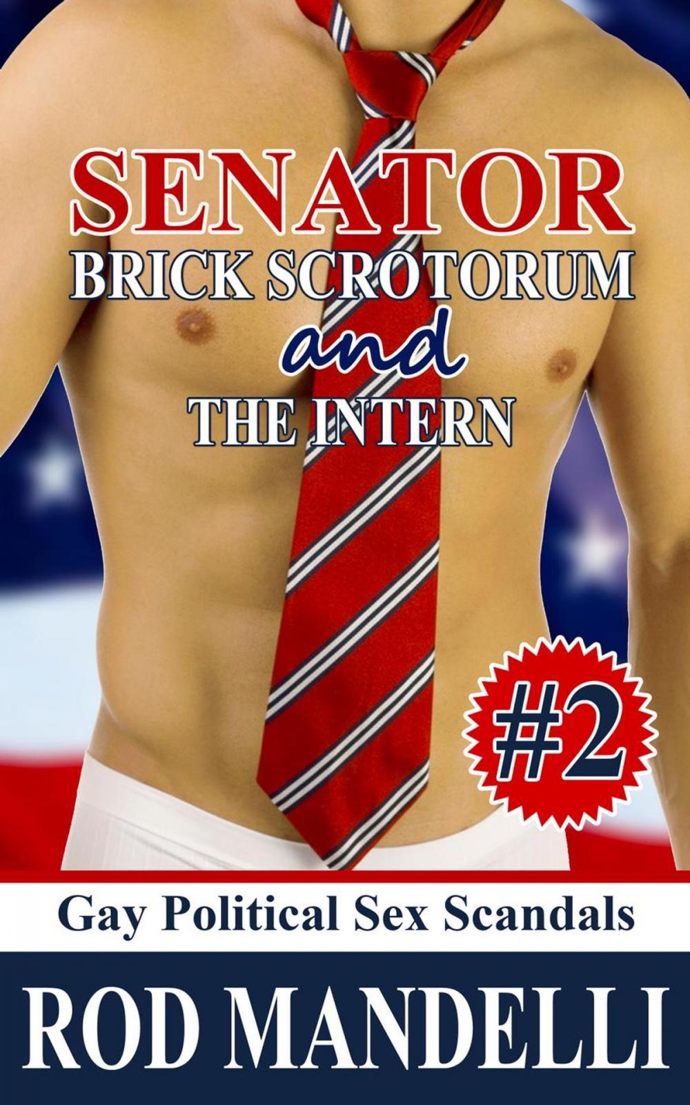 Big bigCover of Senator Brick Scrotorum and the Intern