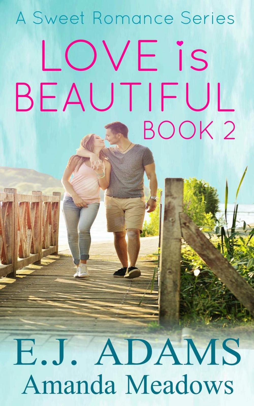 Big bigCover of Love is Beautiful Book 2