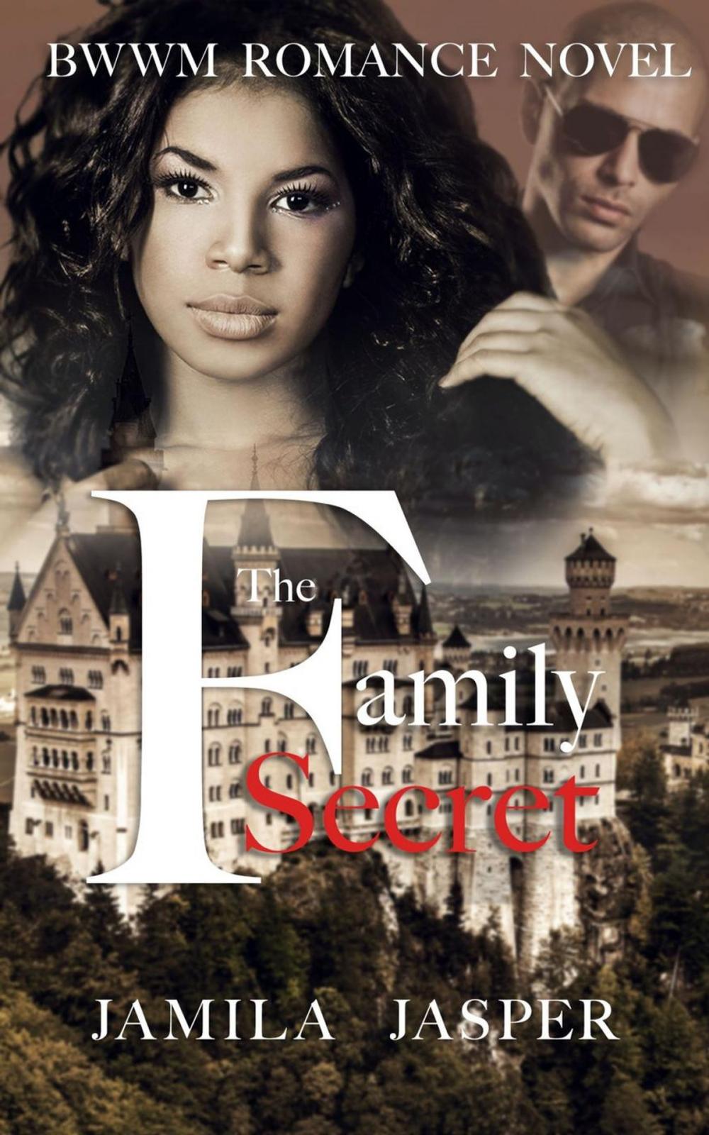 Big bigCover of The Family Secret