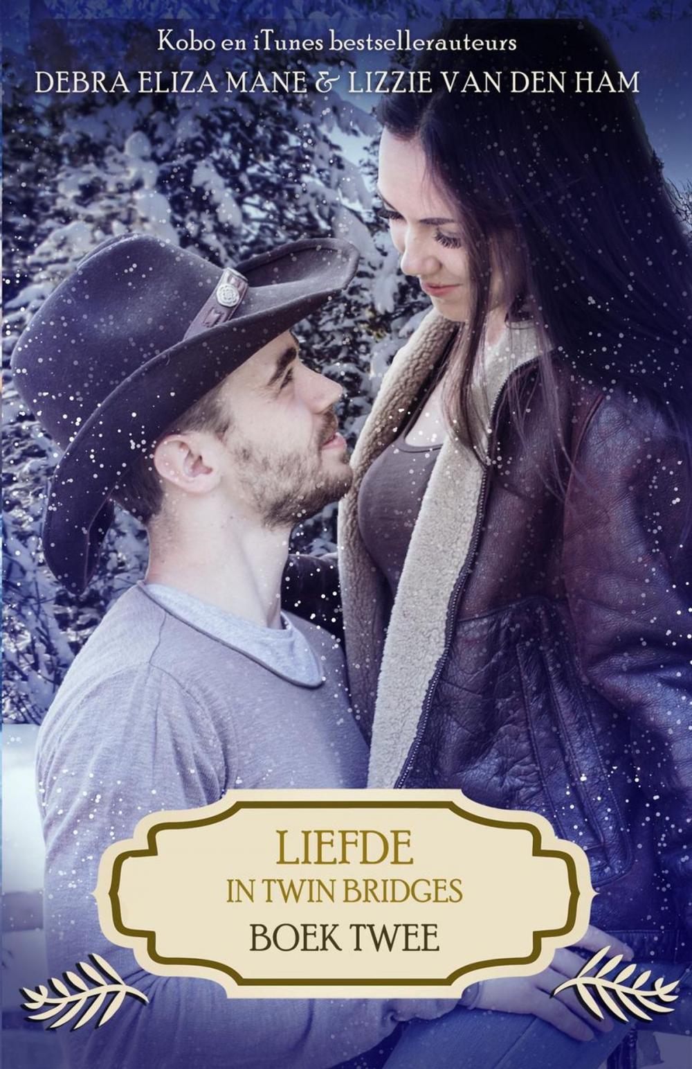 Big bigCover of Liefde in Twin Bridges: boek twee