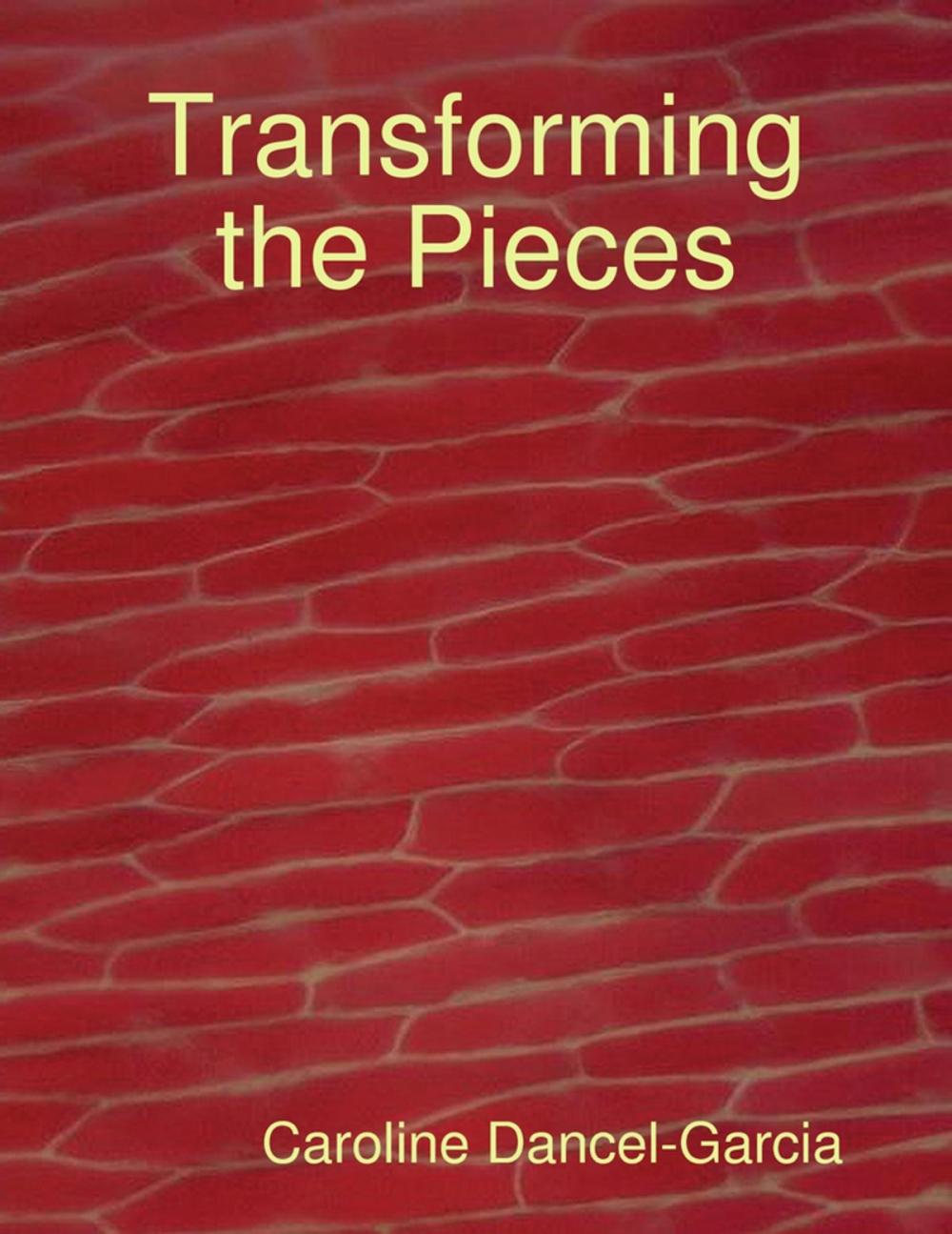 Big bigCover of Transforming the Pieces