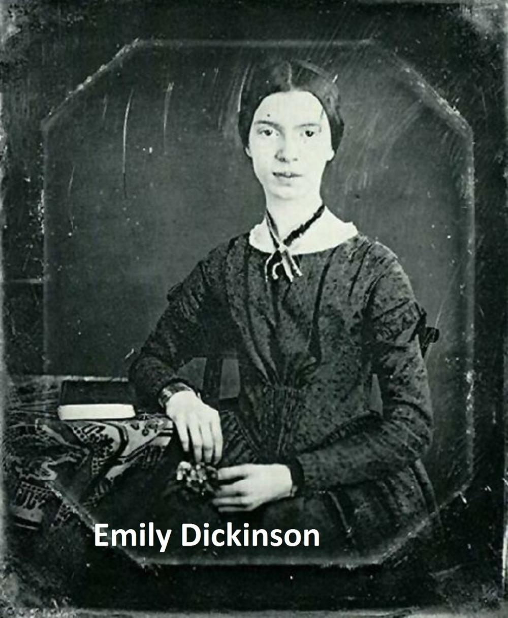 Big bigCover of Emily Dickinson's poetical works (the original edition)