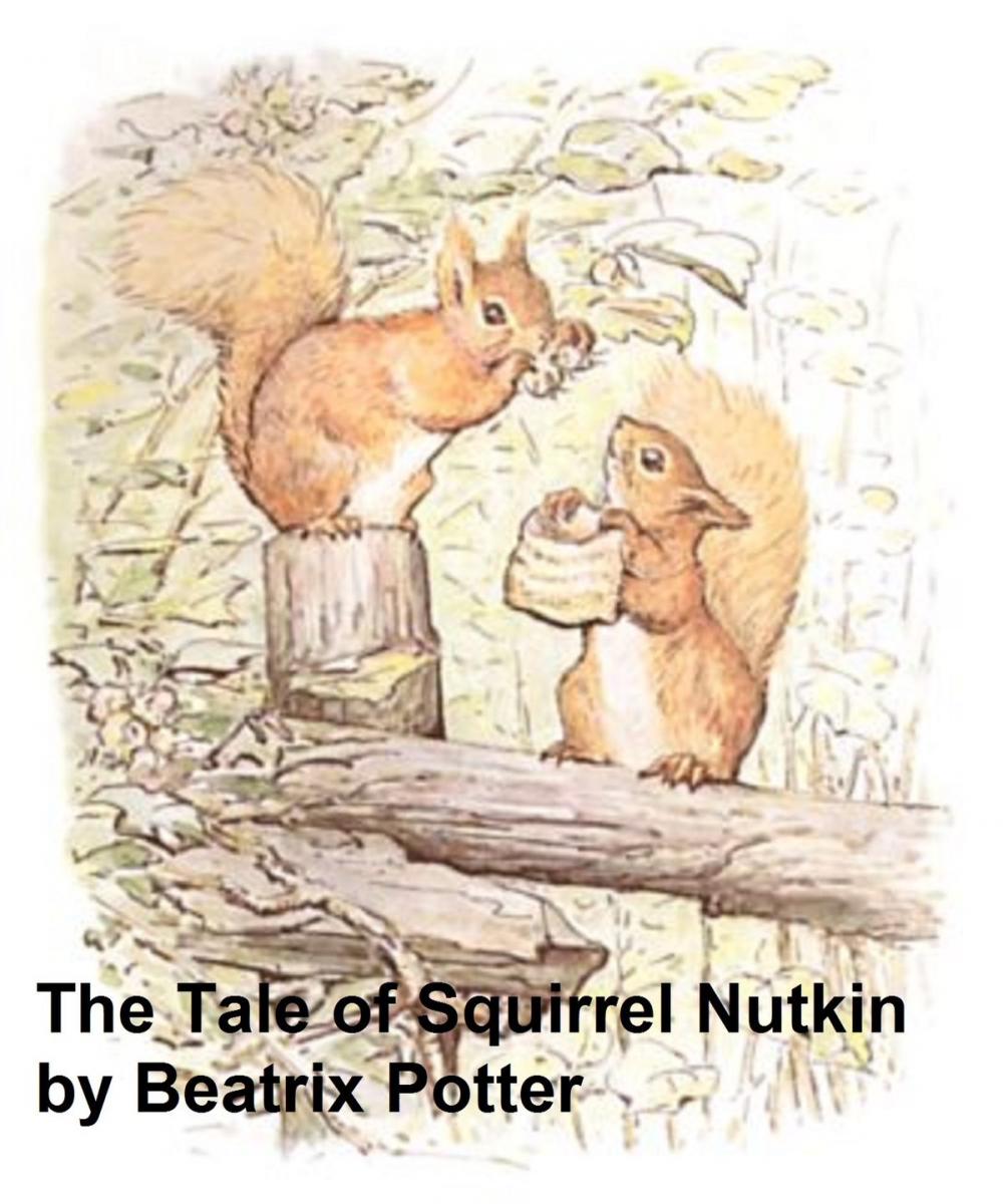 Big bigCover of The Tale of Squirrel Nutkin, Illustrated