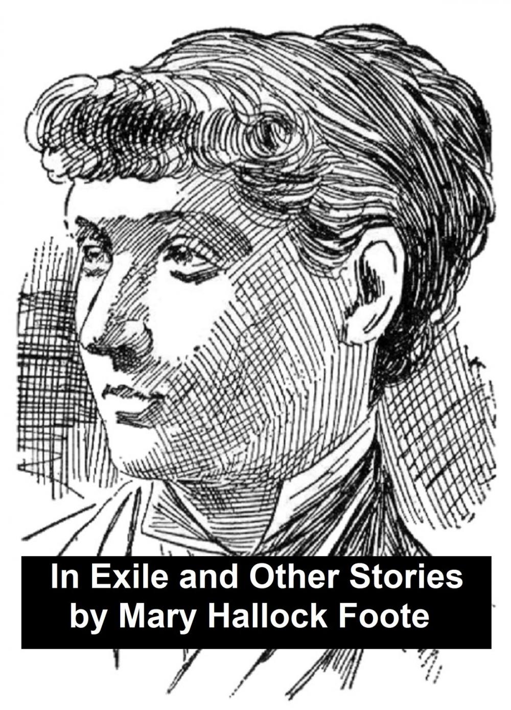 Big bigCover of In Exile and Other Stories