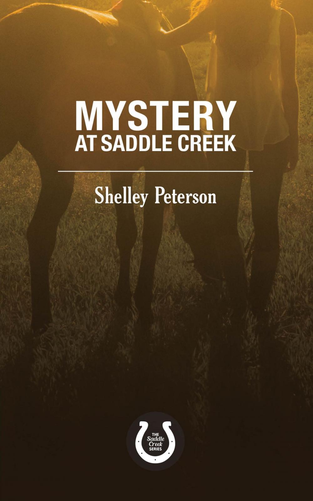 Big bigCover of Mystery at Saddle Creek