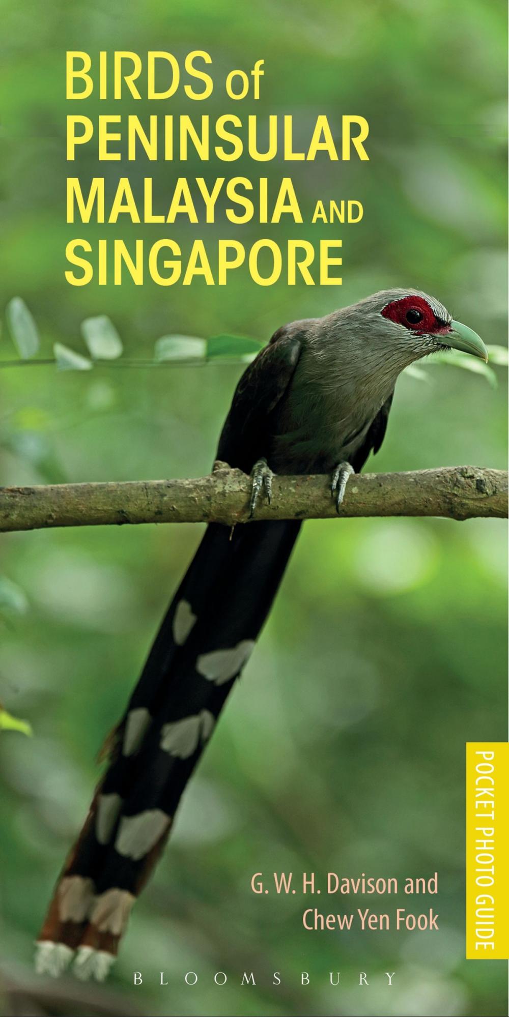 Big bigCover of Birds of Peninsular Malaysia and Singapore