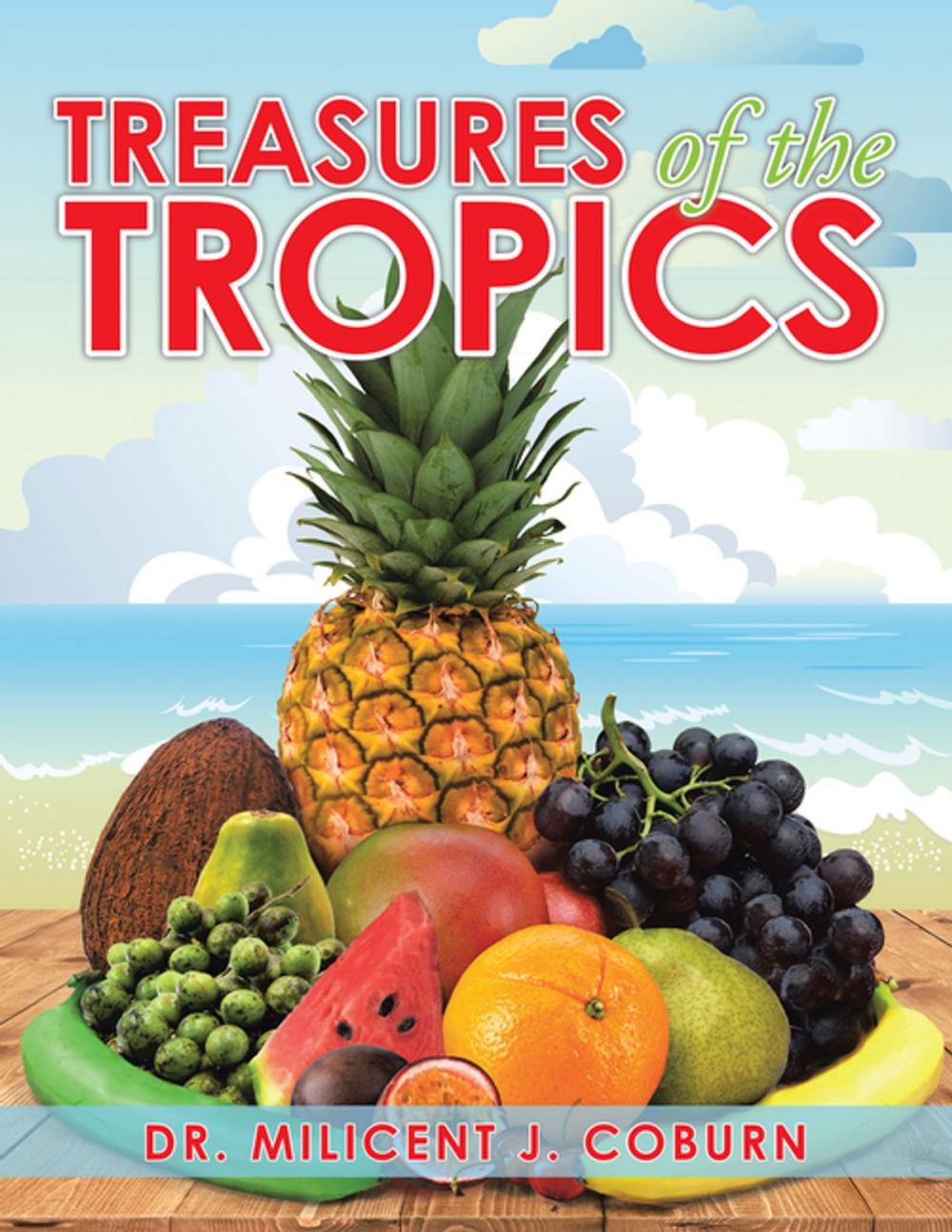 Big bigCover of Treasures of the Tropics