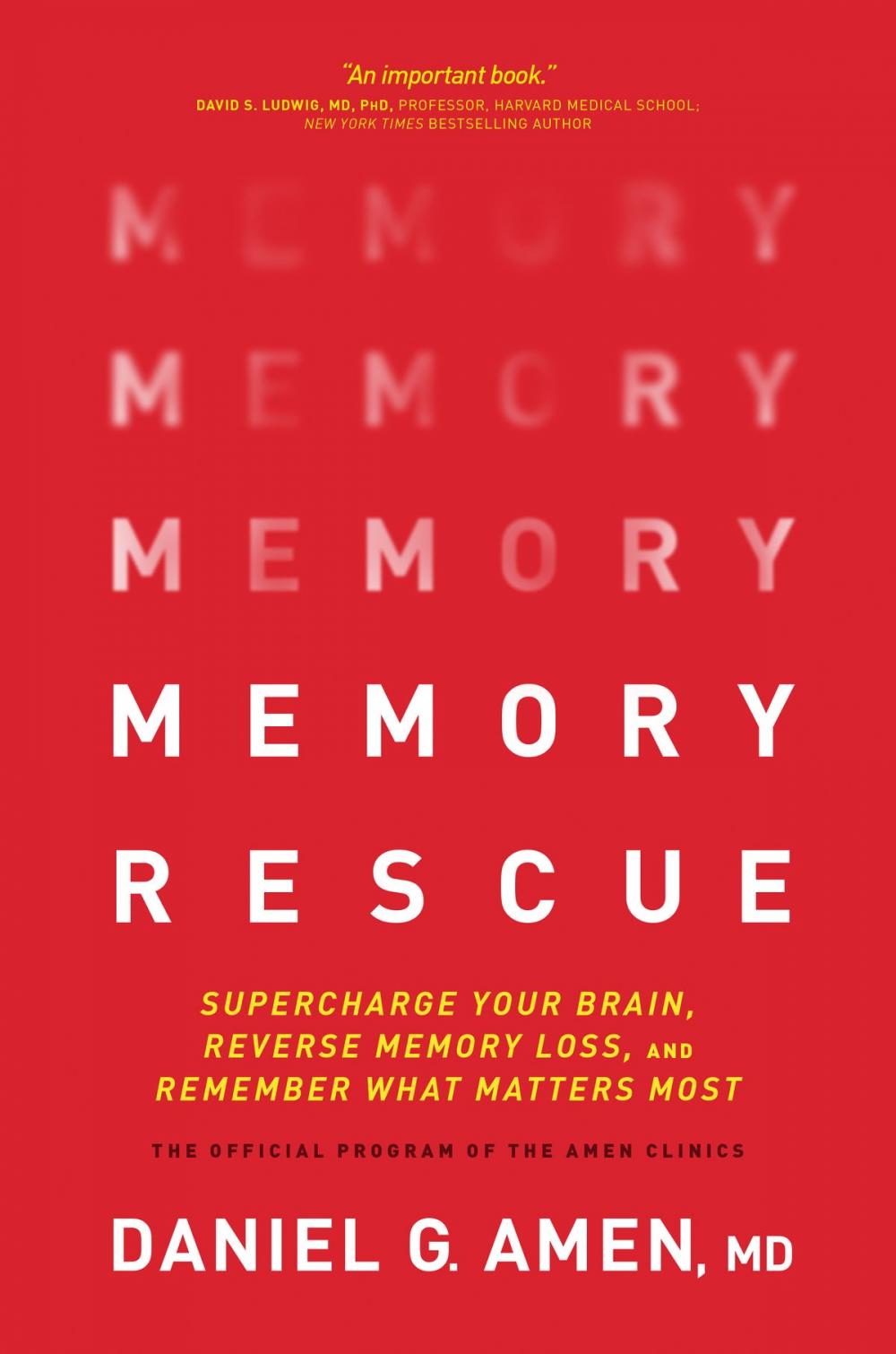 Big bigCover of Memory Rescue