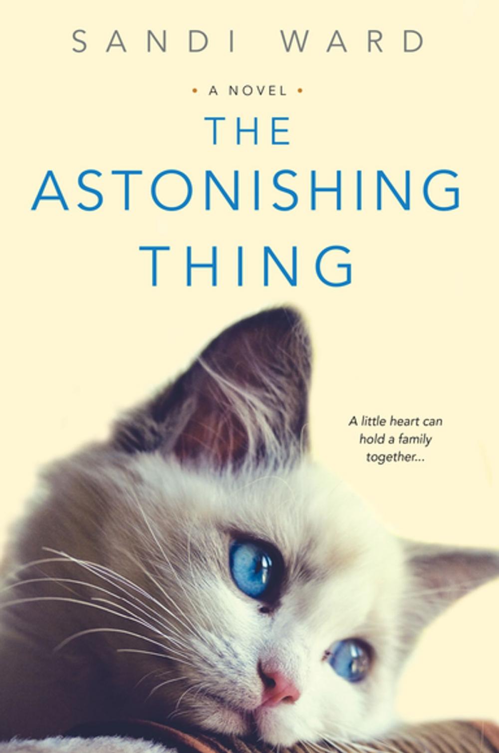 Big bigCover of The Astonishing Thing