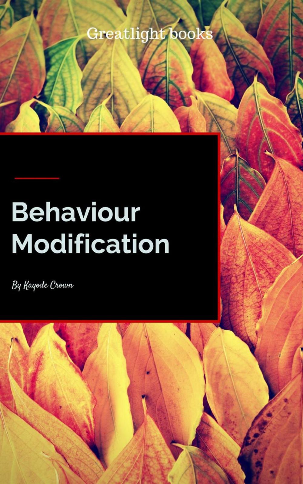 Big bigCover of Behaviour Modification