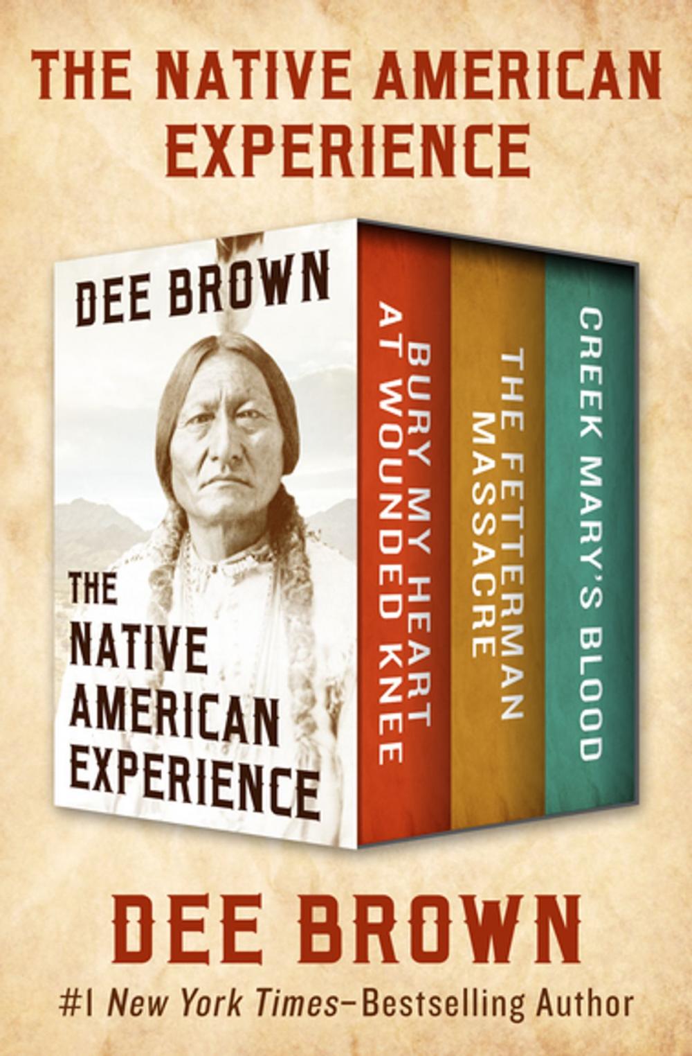 Big bigCover of The Native American Experience