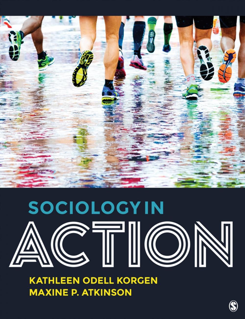 Big bigCover of Sociology in Action