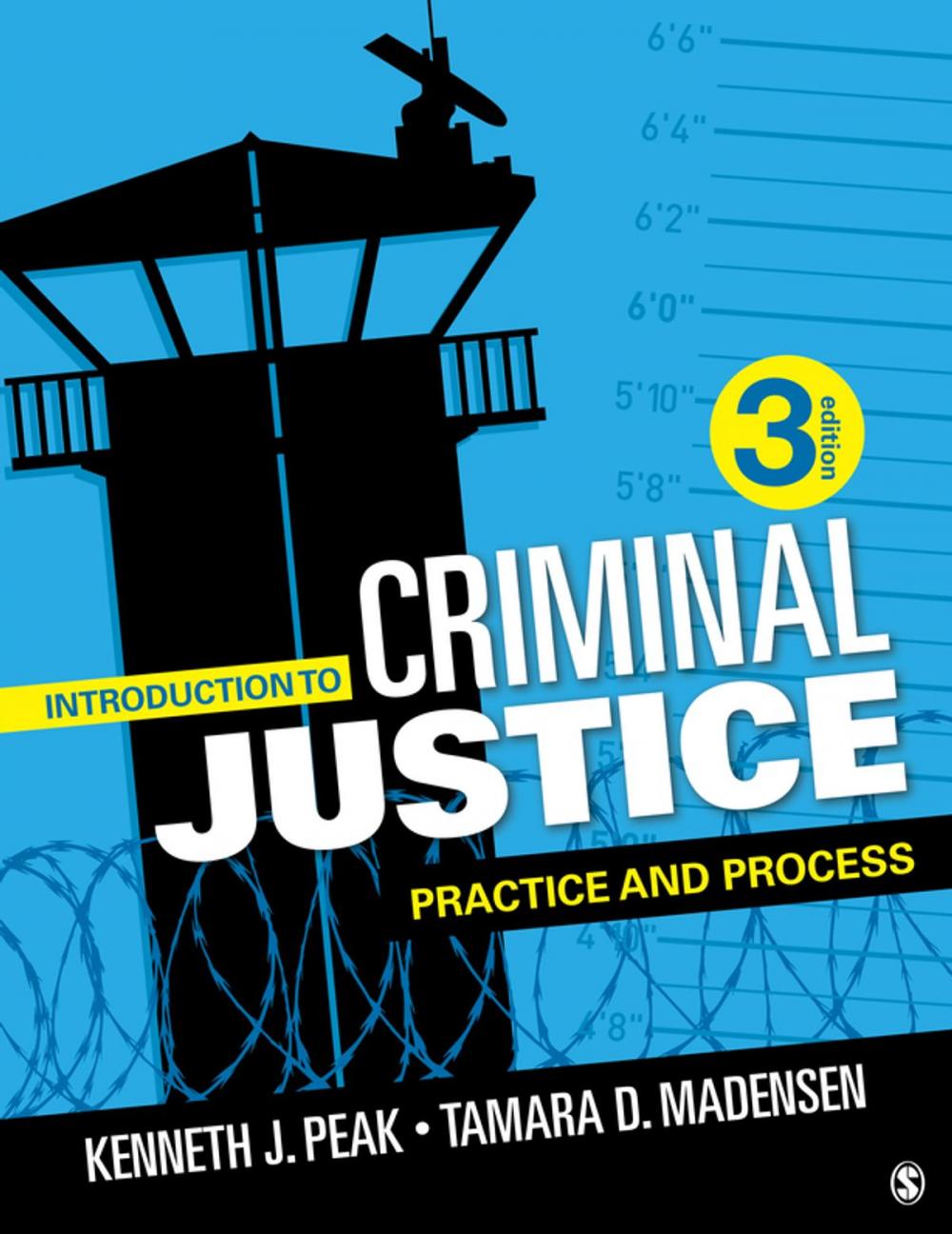 Big bigCover of Introduction to Criminal Justice