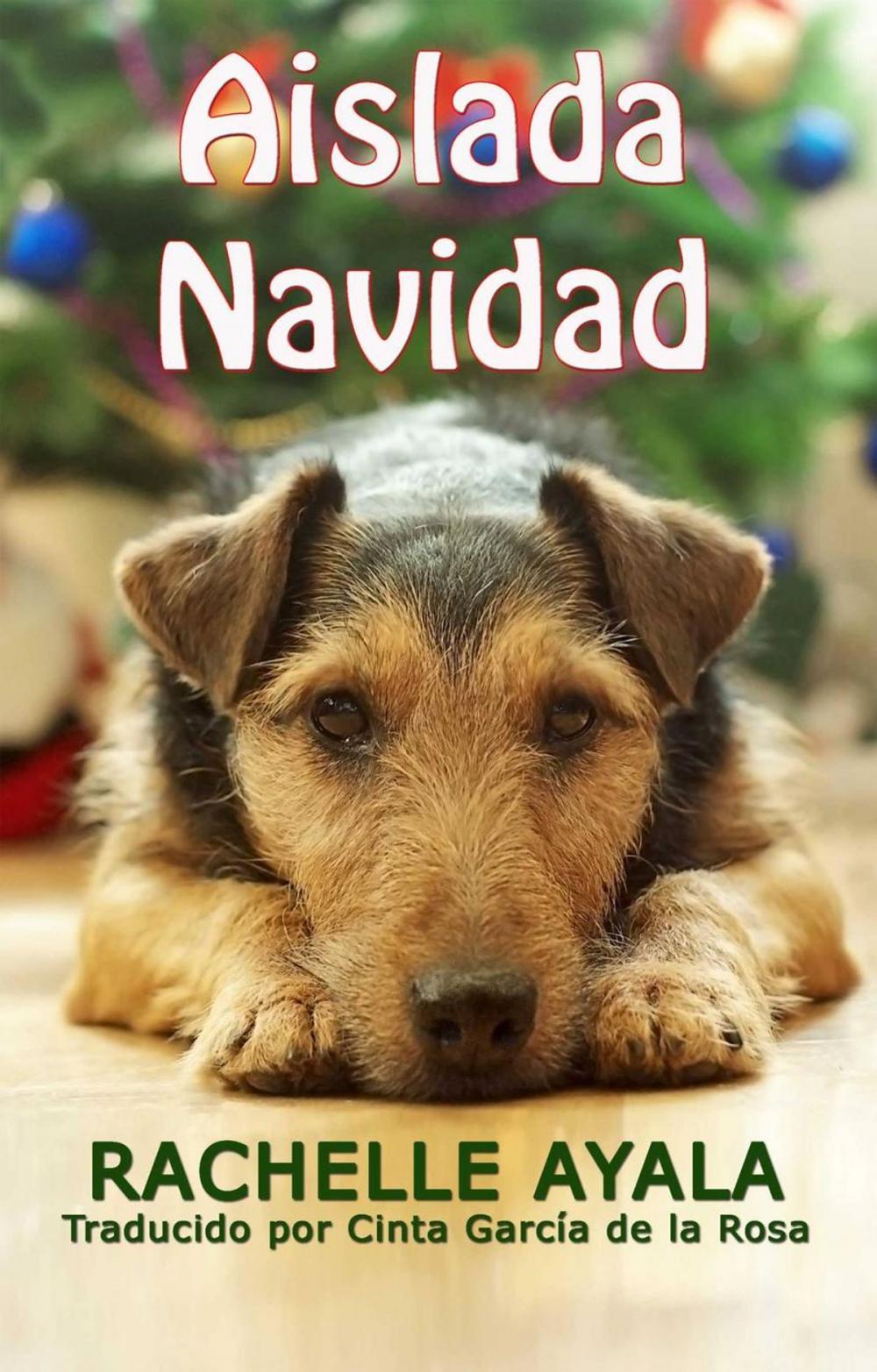 Big bigCover of Aislada Navidad