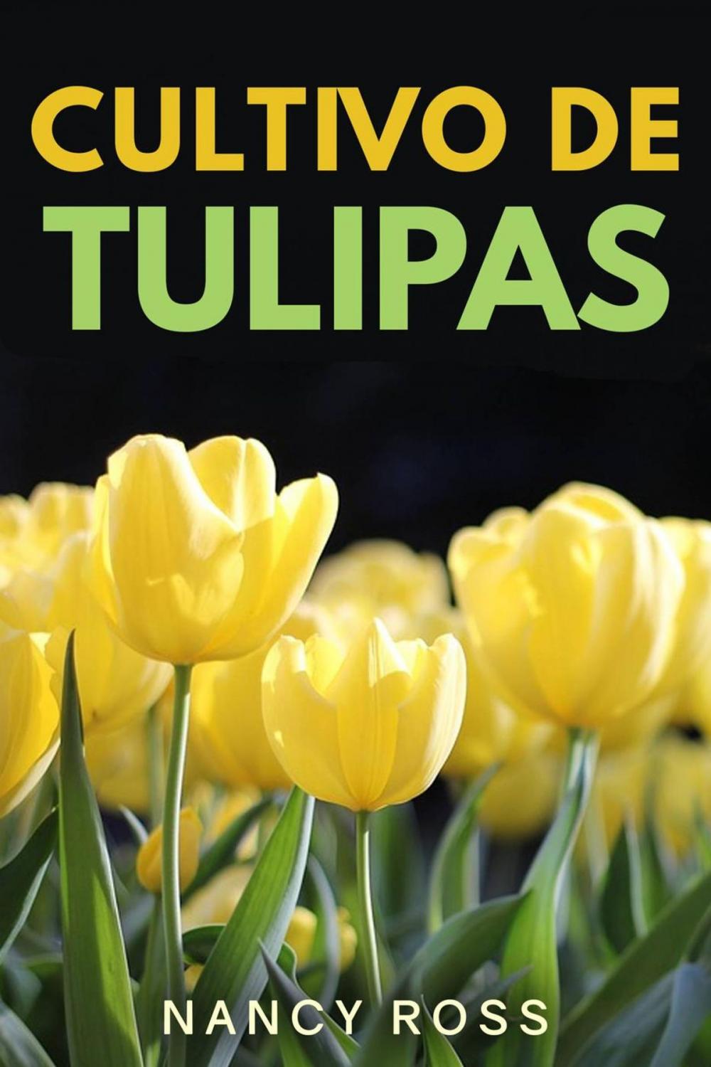 Big bigCover of Cultivo de Tulipas