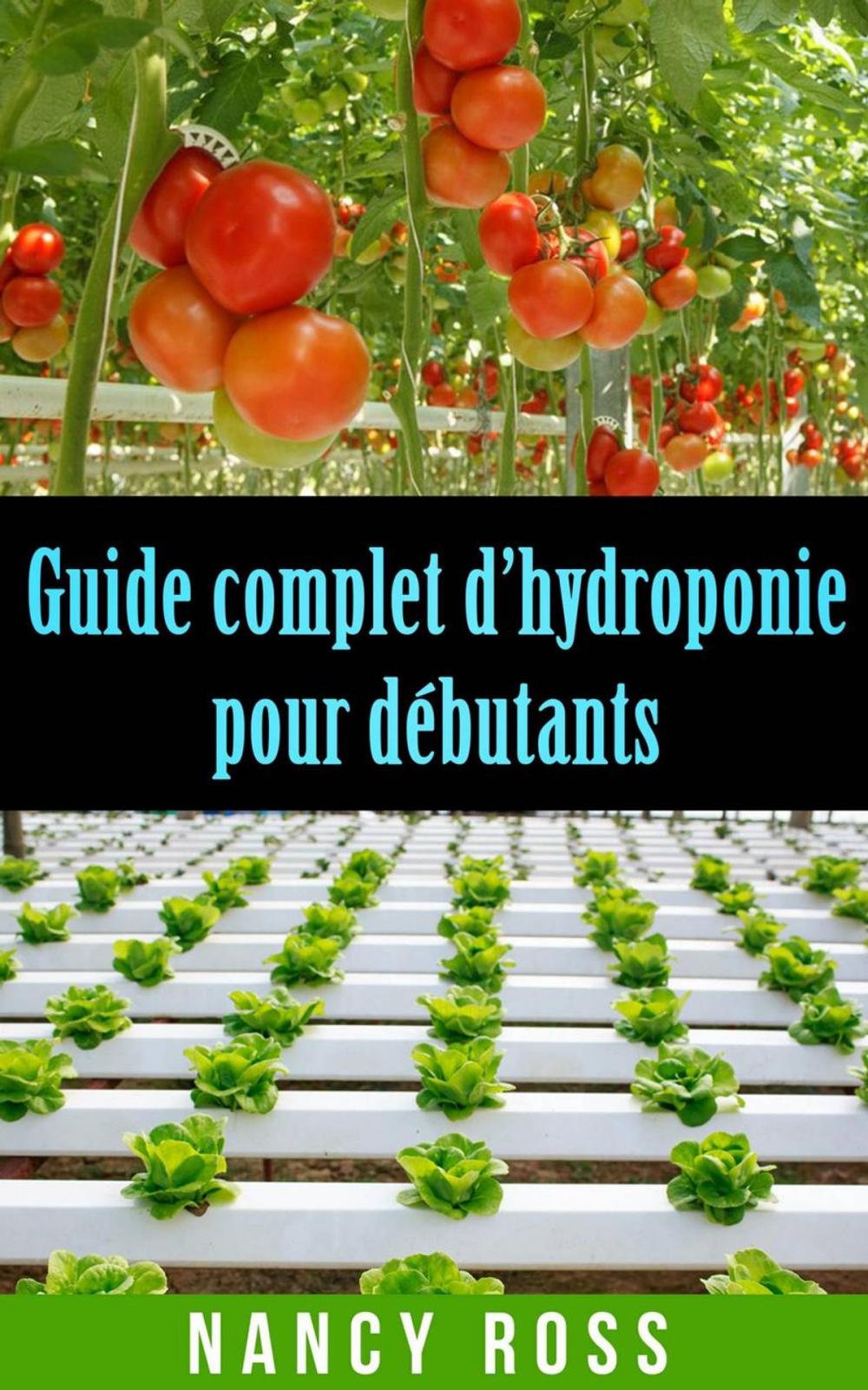 Big bigCover of Guide complet d’hydroponie pour débutants