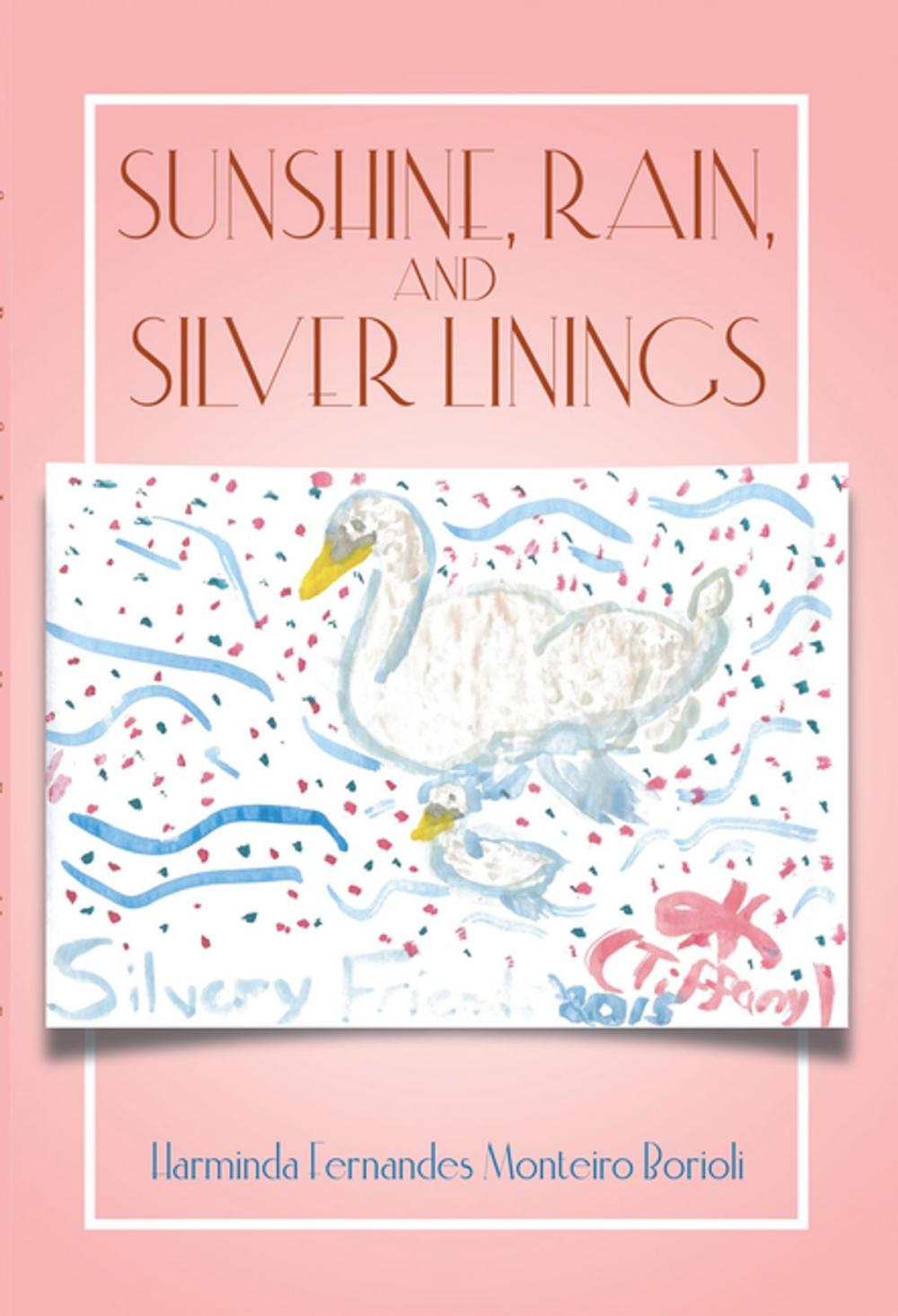 Big bigCover of Sunshine, Rain, and Silver Linings