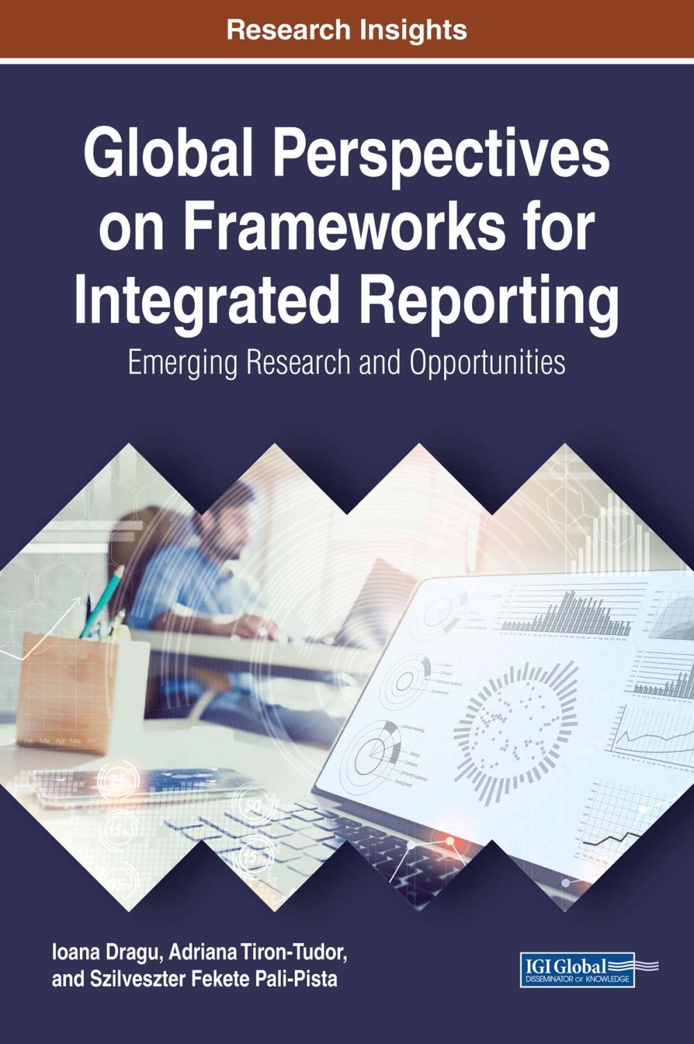 Big bigCover of Global Perspectives on Frameworks for Integrated Reporting