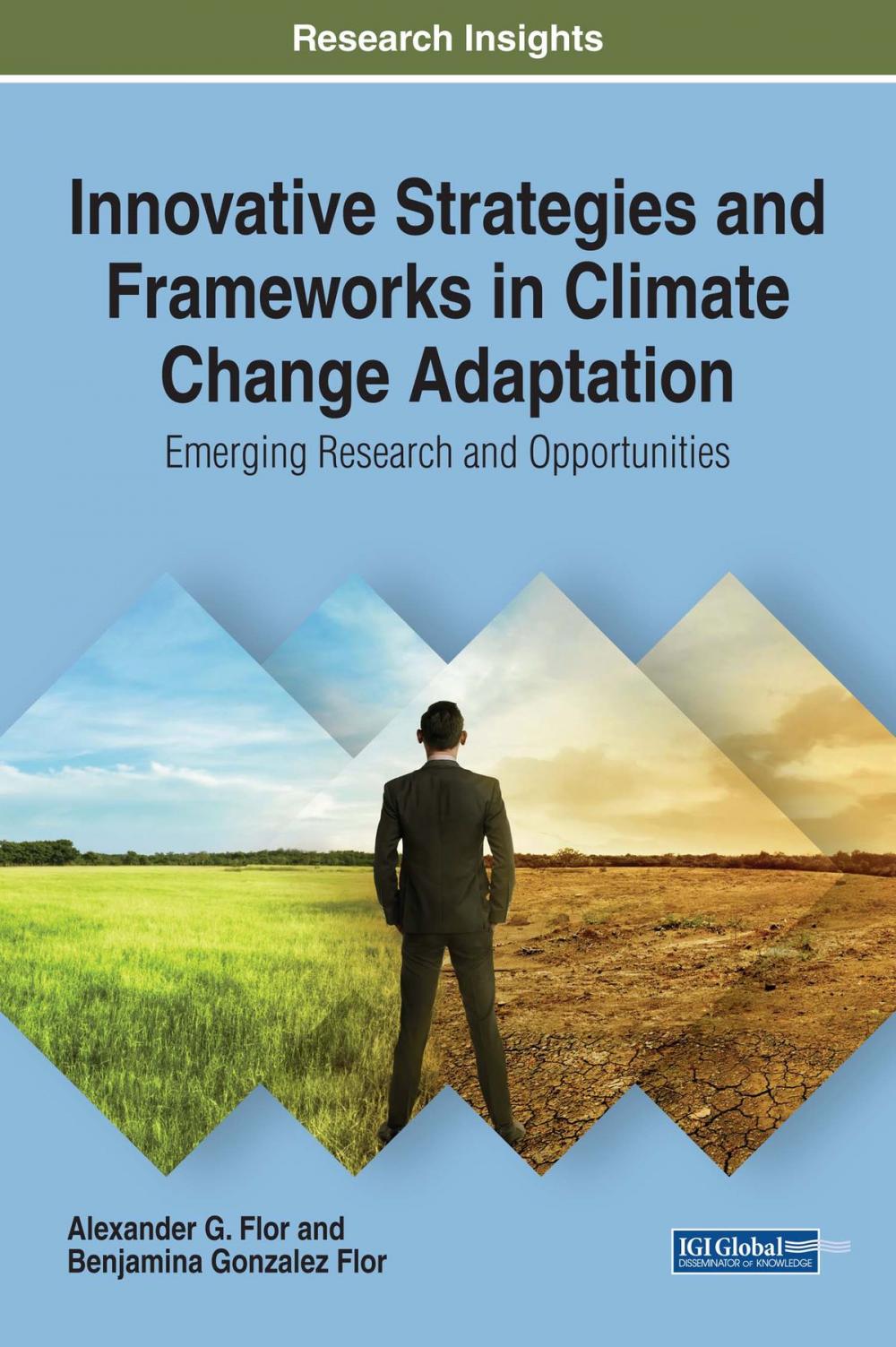 Big bigCover of Innovative Strategies and Frameworks in Climate Change Adaptation