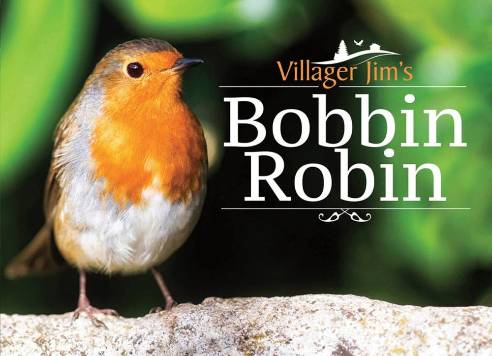 Big bigCover of Villager Jim's Bobbin Robin