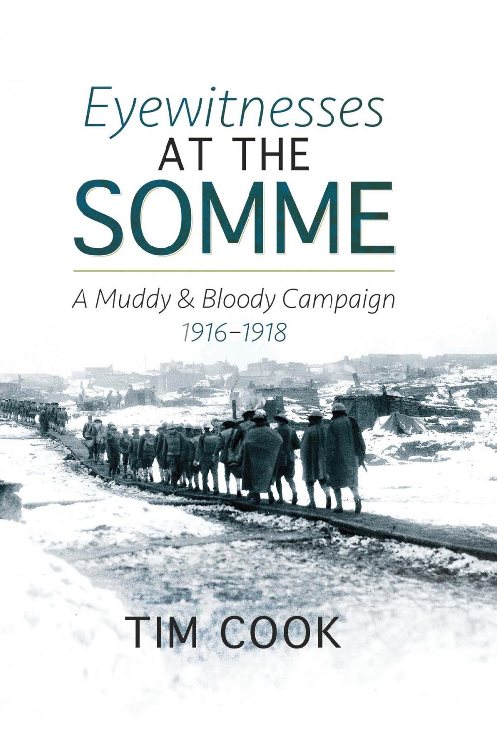 Big bigCover of Eyewitnesses at the Somme