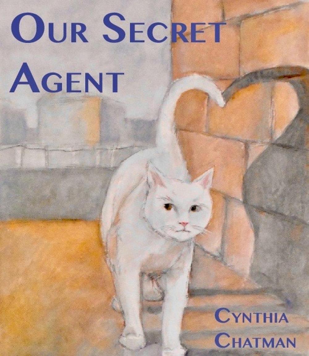 Big bigCover of Our Secret Agent