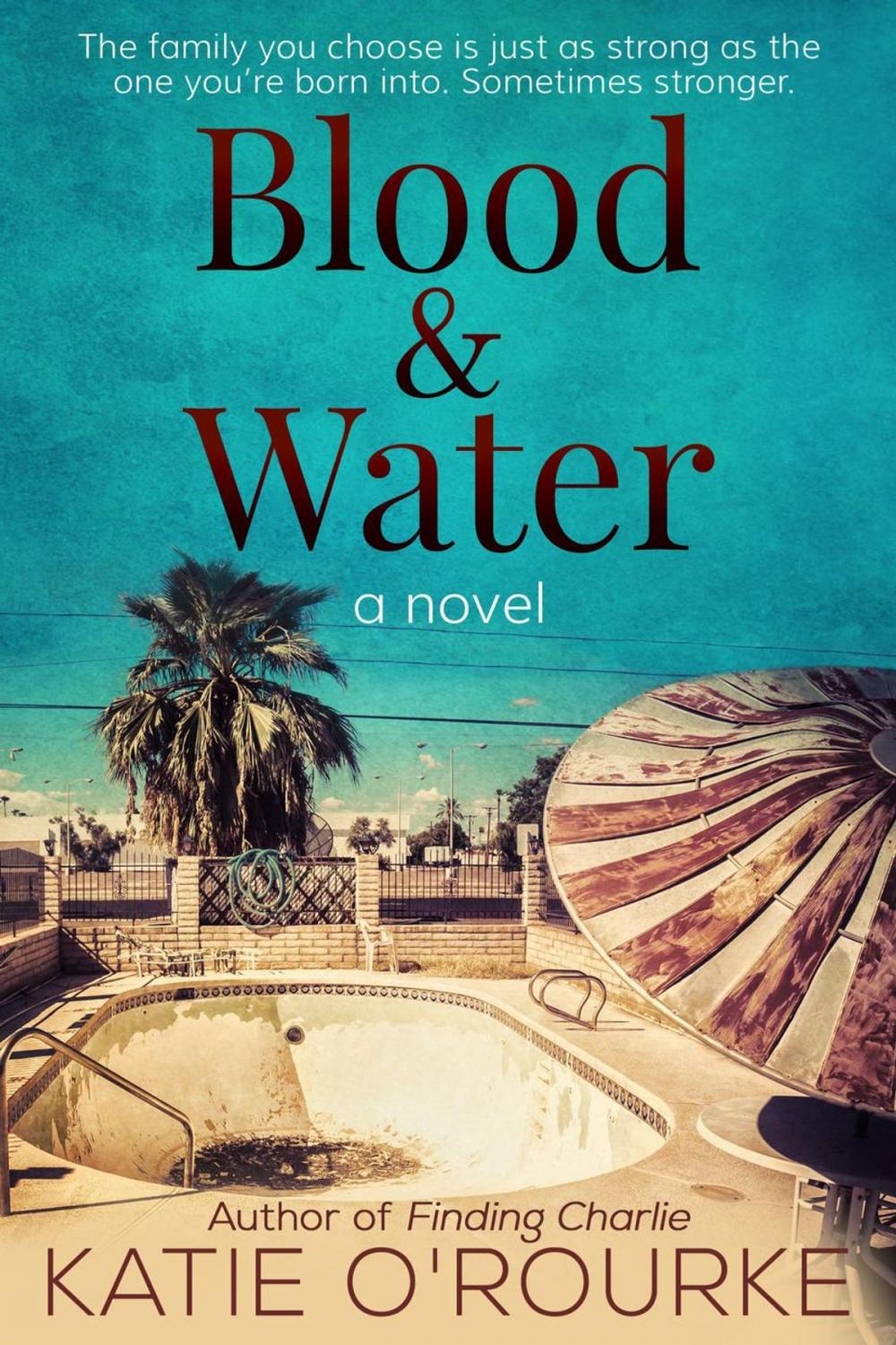 Big bigCover of Blood & Water