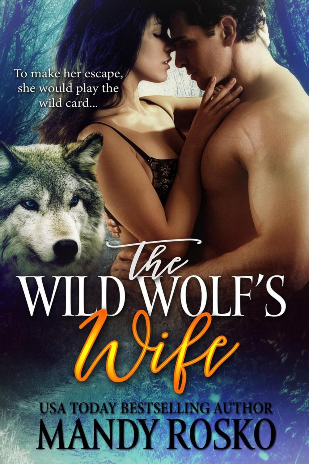 Big bigCover of The Wild Wolf's Wife Volume 1