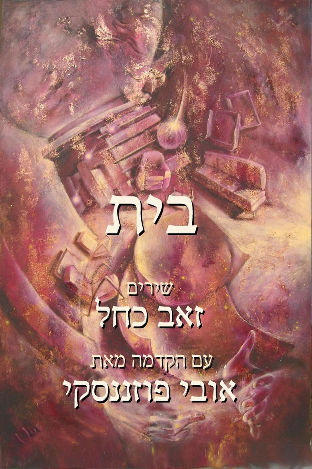 Big bigCover of בית