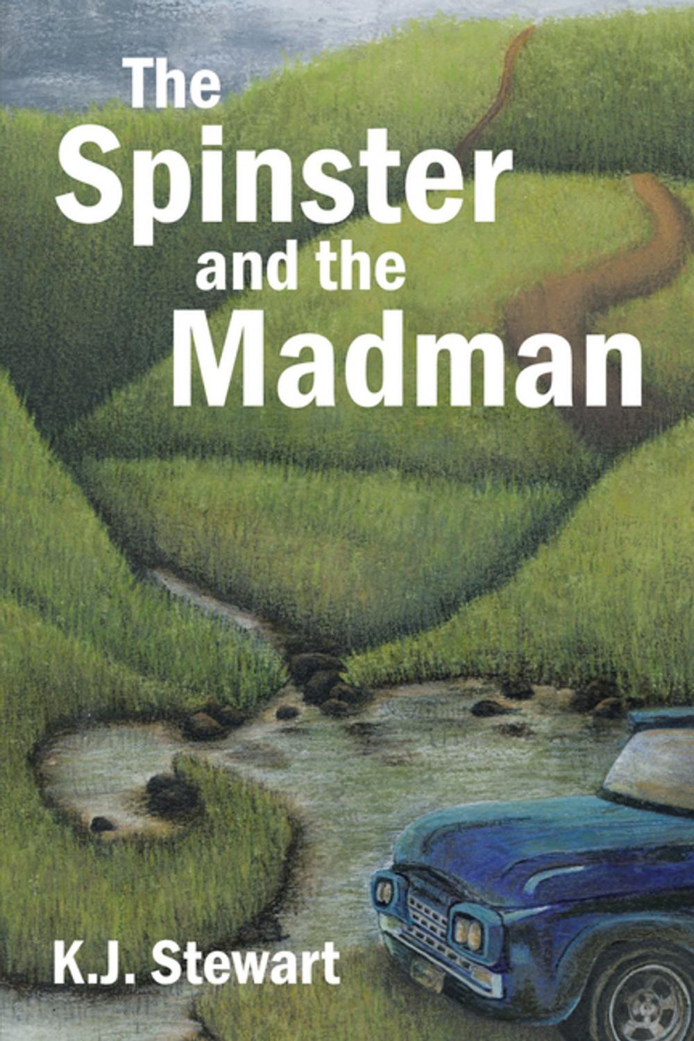 Big bigCover of The Spinster and the Madman